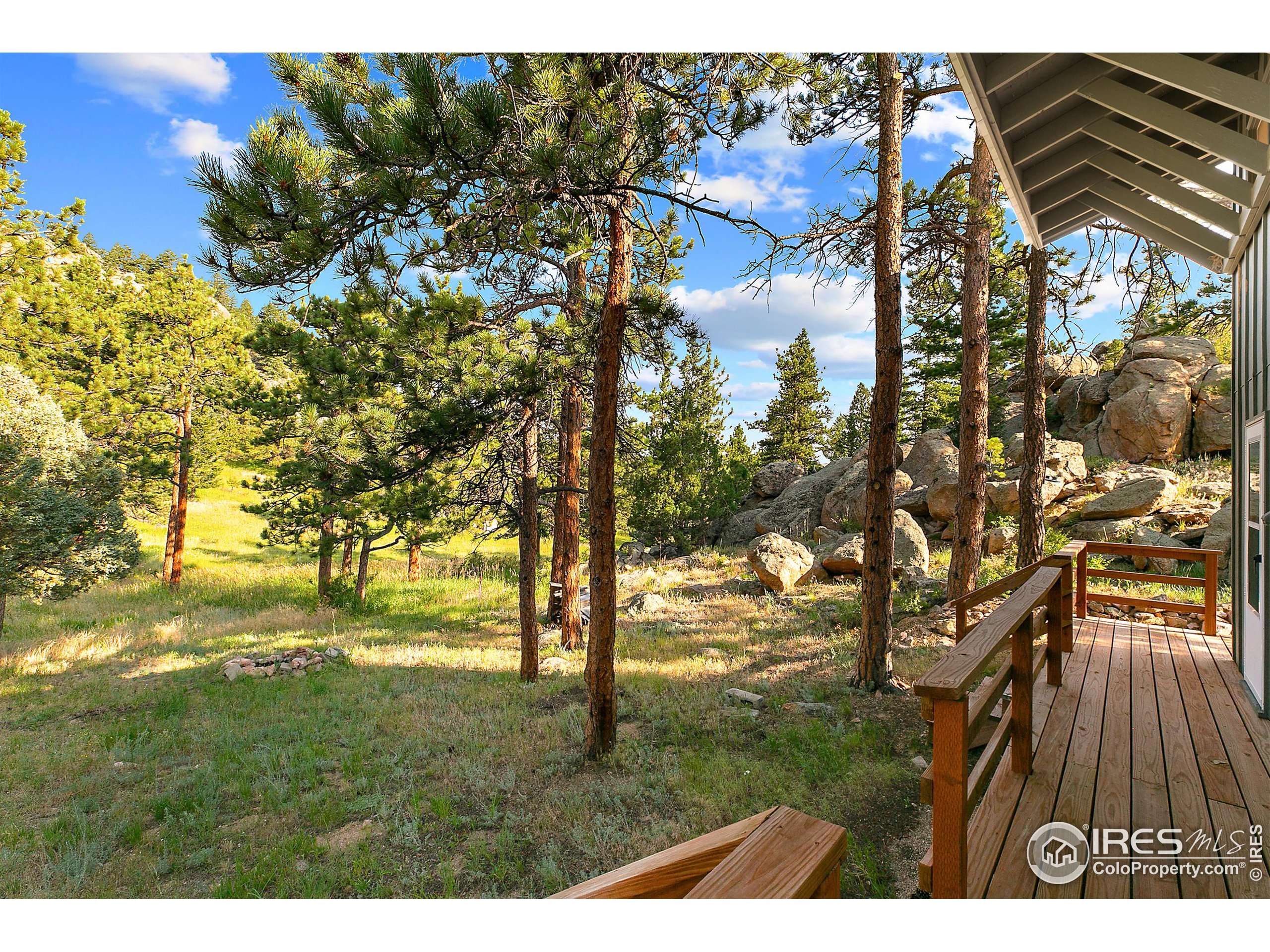 Livermore, CO 80536,293 Snowmass Dr