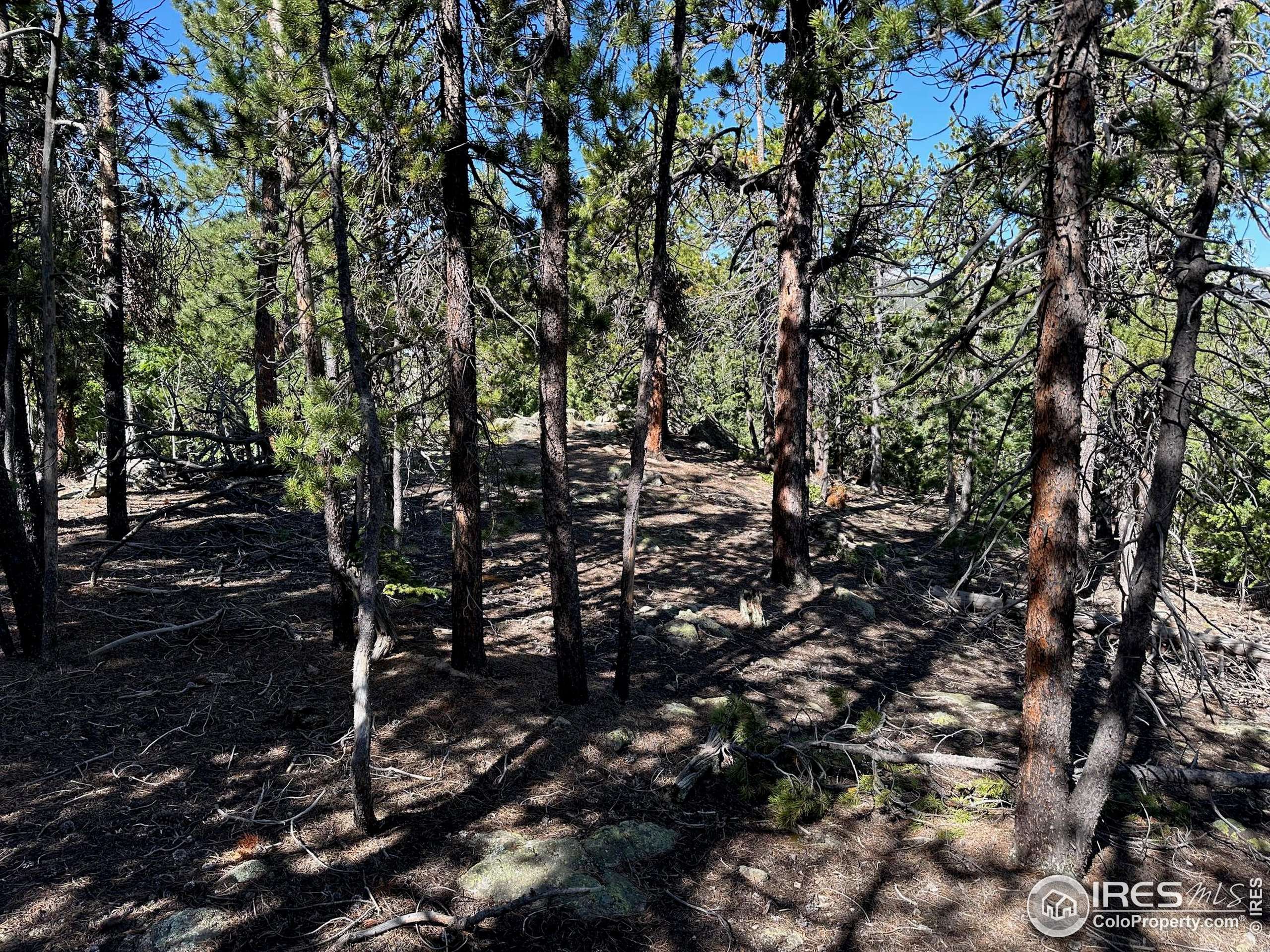 Allenspark, CO 80540,0 Pine Cone Cir #Lot 46