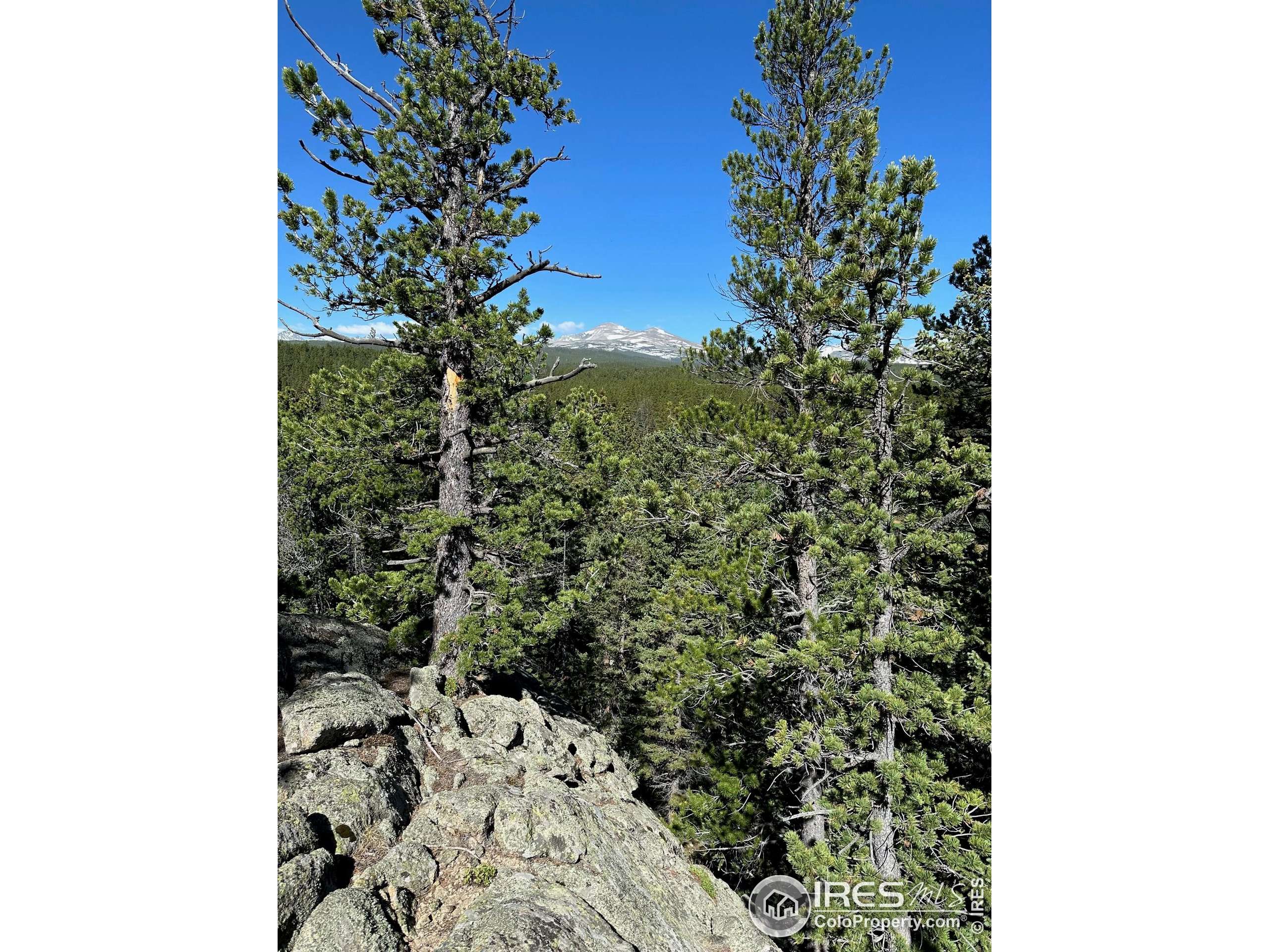 Allenspark, CO 80540,0 Pine Cone Cir #Lot 46