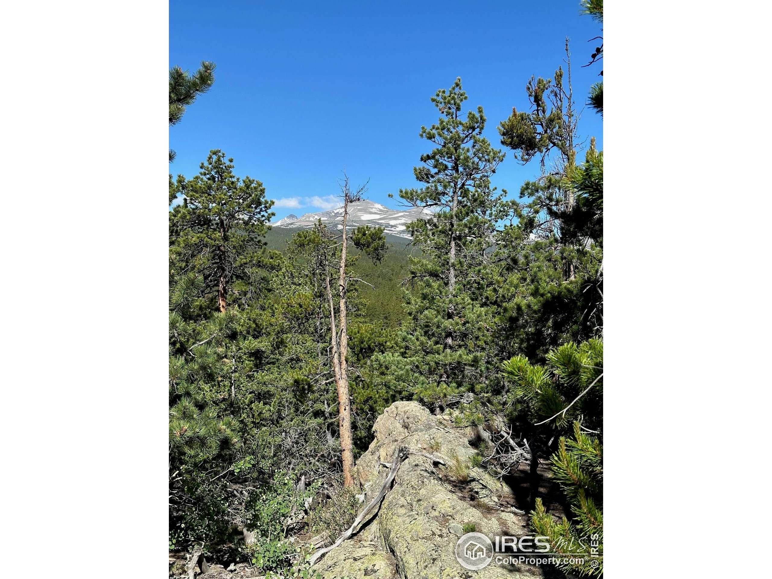 Allenspark, CO 80540,0 Pine Cone Cir #Lot 46