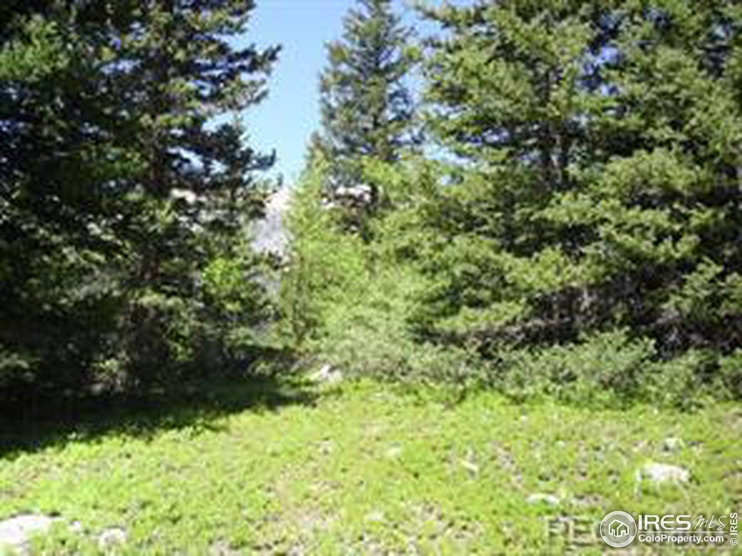 Alma, CO 80420,3549 County Road 4 #Lot 24