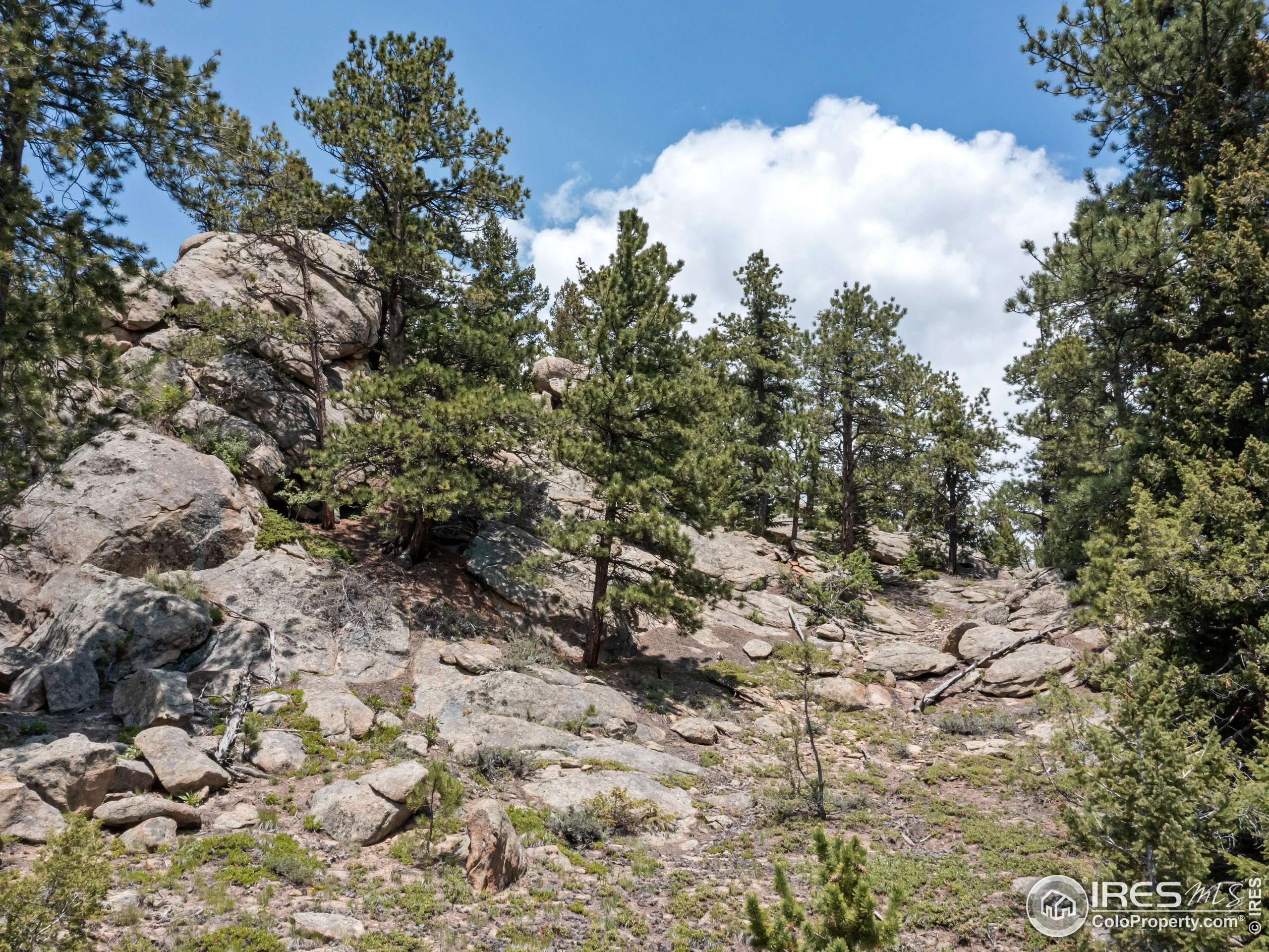 Estes Park, CO 80517,85 Country Sky Ln