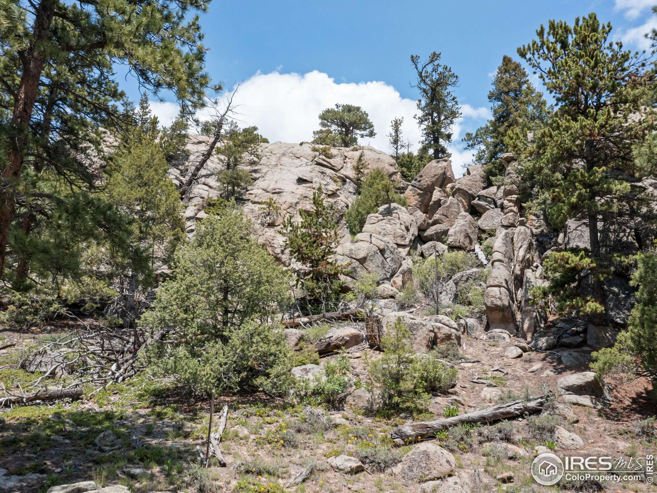 Estes Park, CO 80517,85 Country Sky Ln