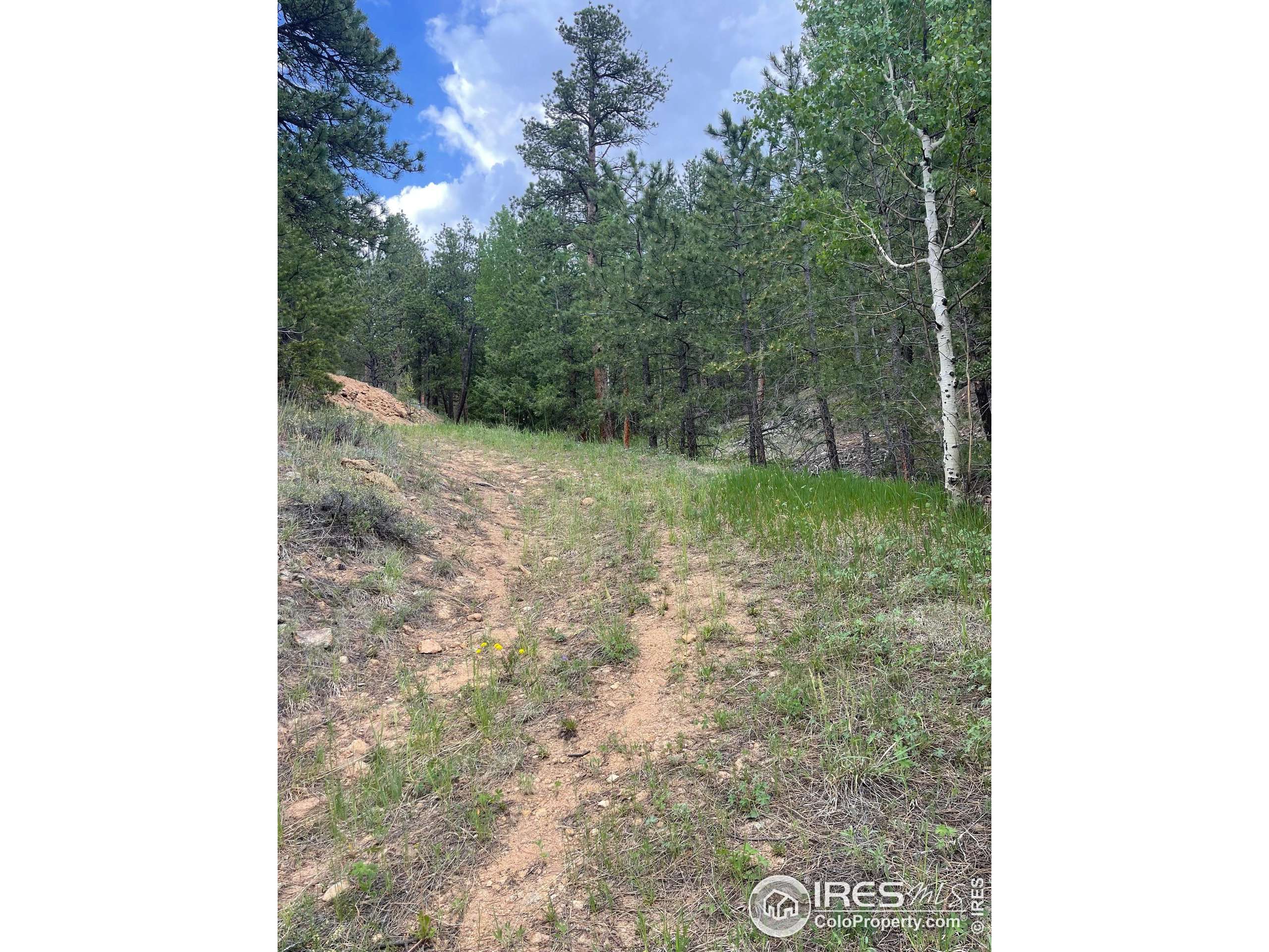 Lyons, CO 80540,1111 Spruce Dr