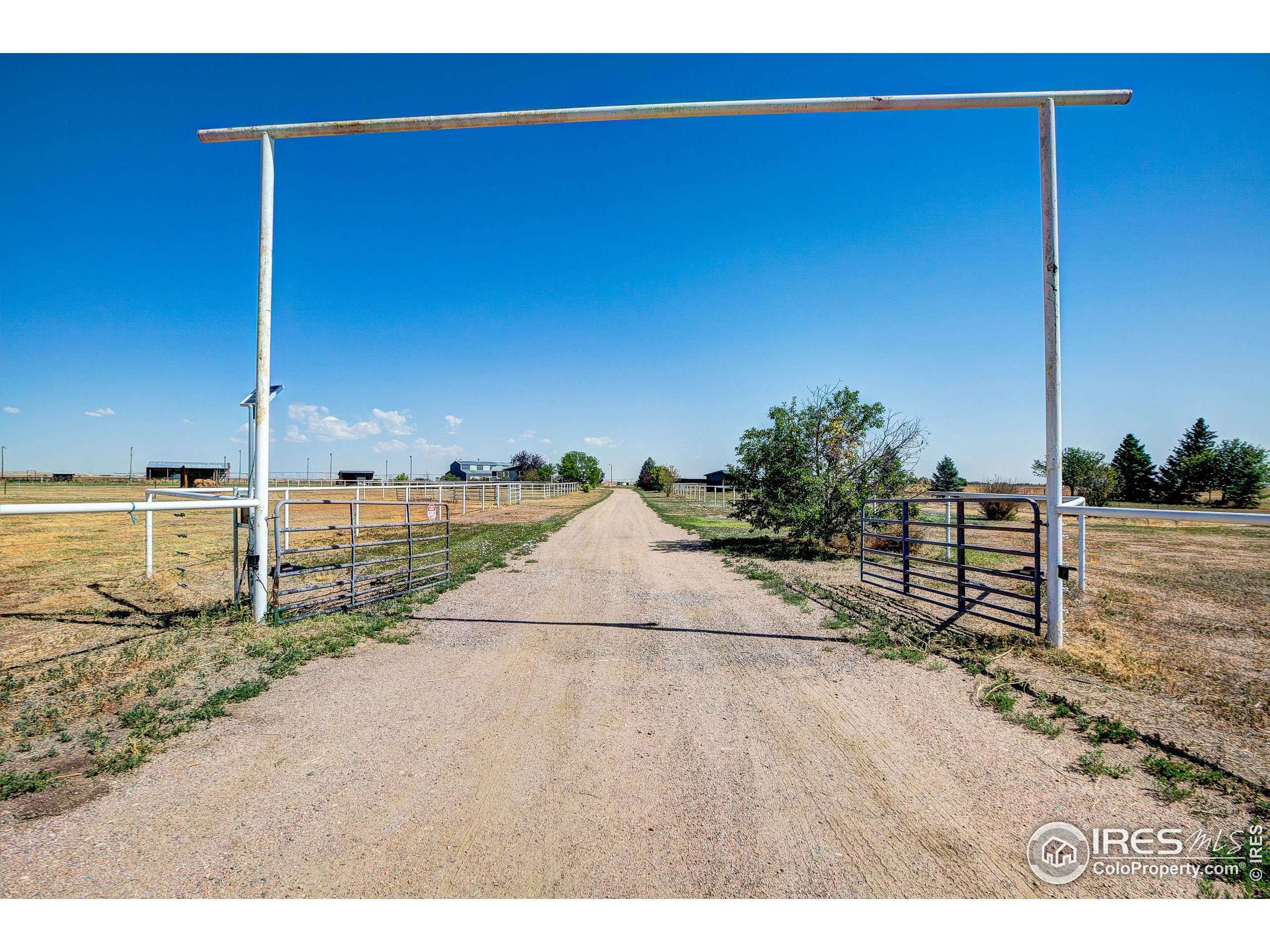 Pierce, CO 80650,15575 County Road 90