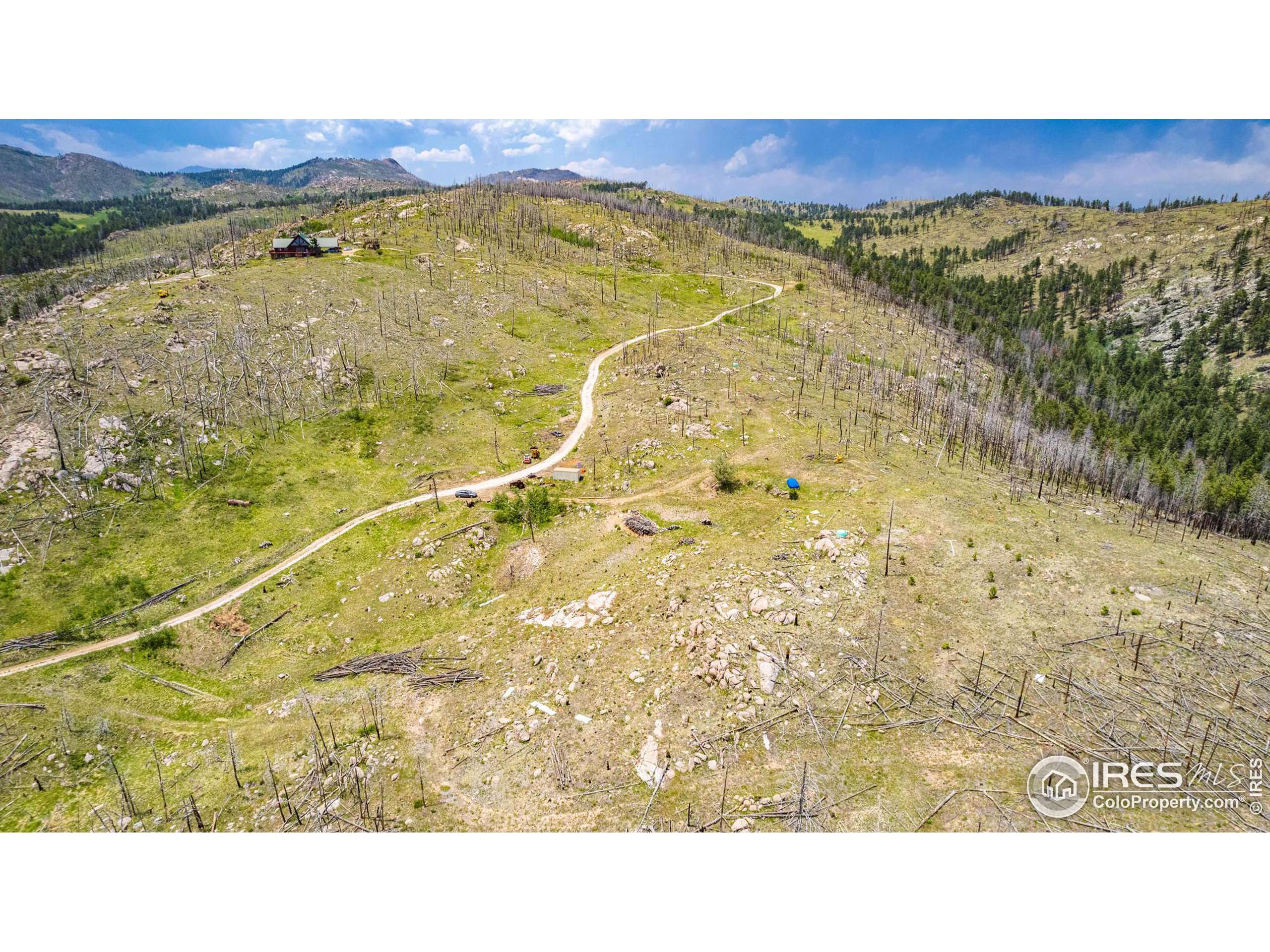 Bellvue, CO 80512,2384 Rist Creek Rd