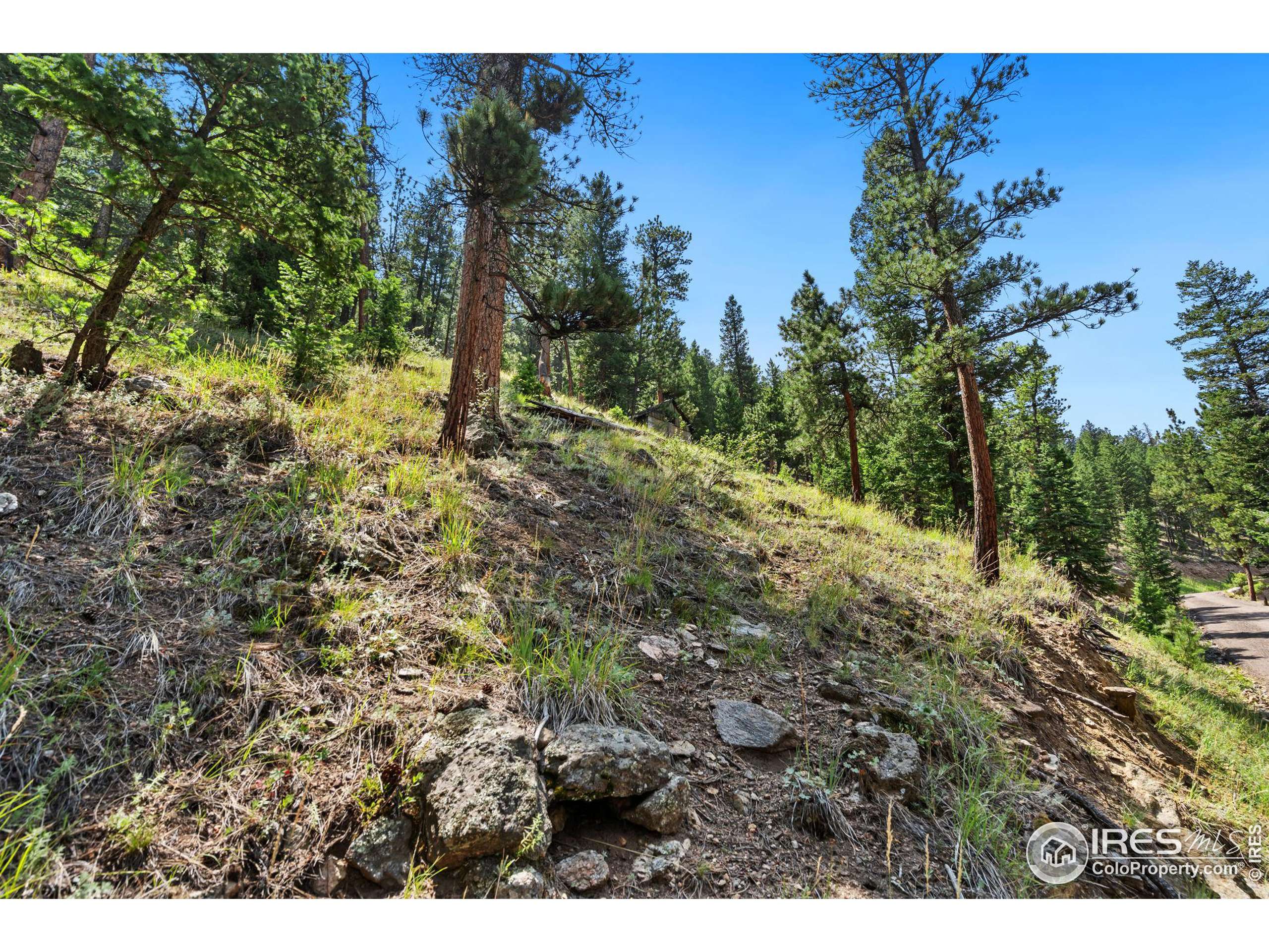 Estes Park, CO 80517,2278 Aspen Knoll Dr