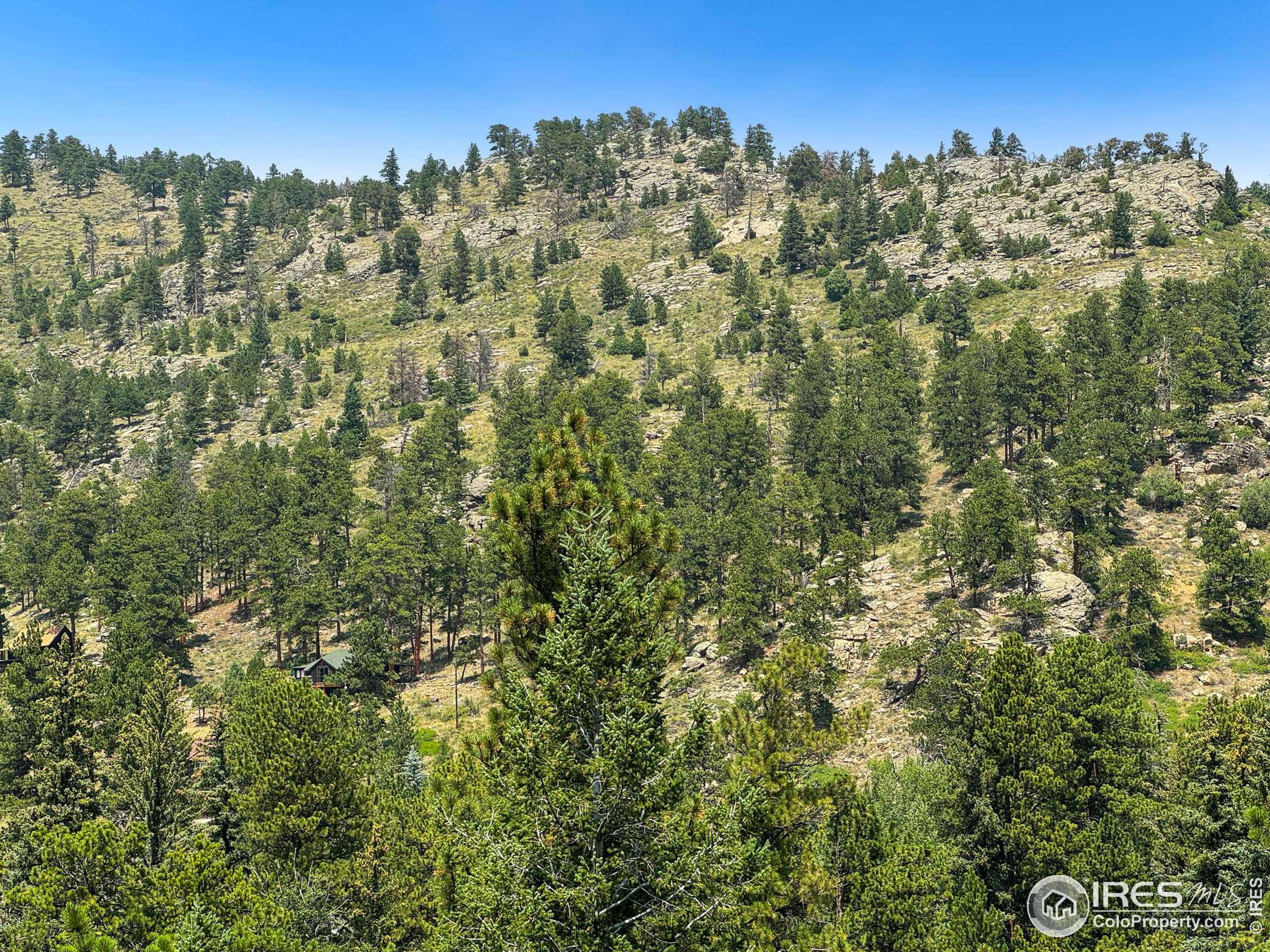 Estes Park, CO 80517,2348 Aspen Knoll Dr