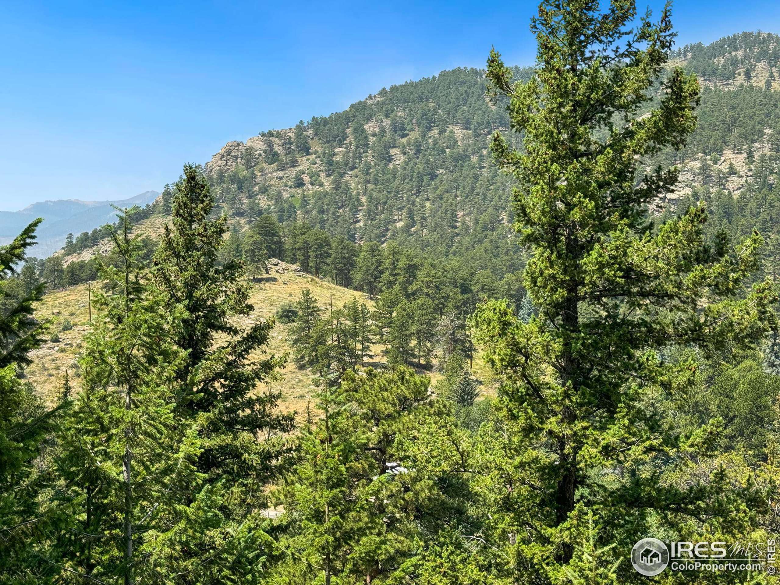 Estes Park, CO 80517,2348 Aspen Knoll Dr