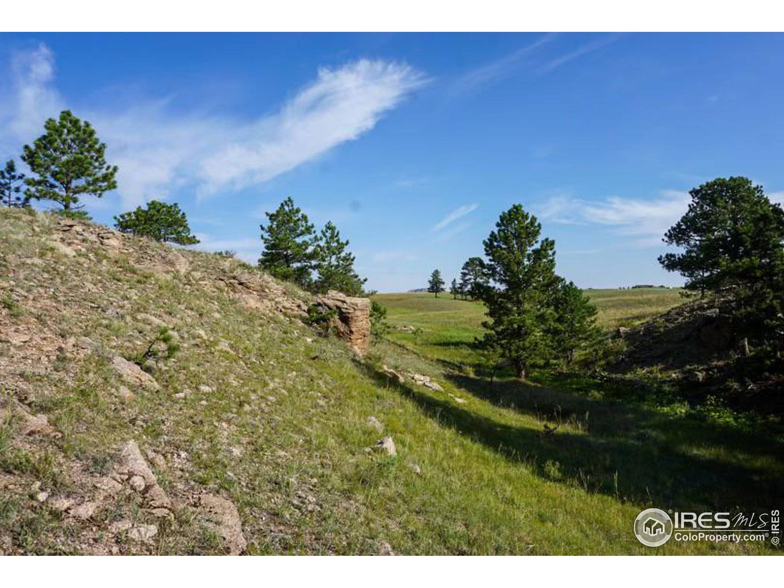 Livermore, CO 80536,0 Stub Ct