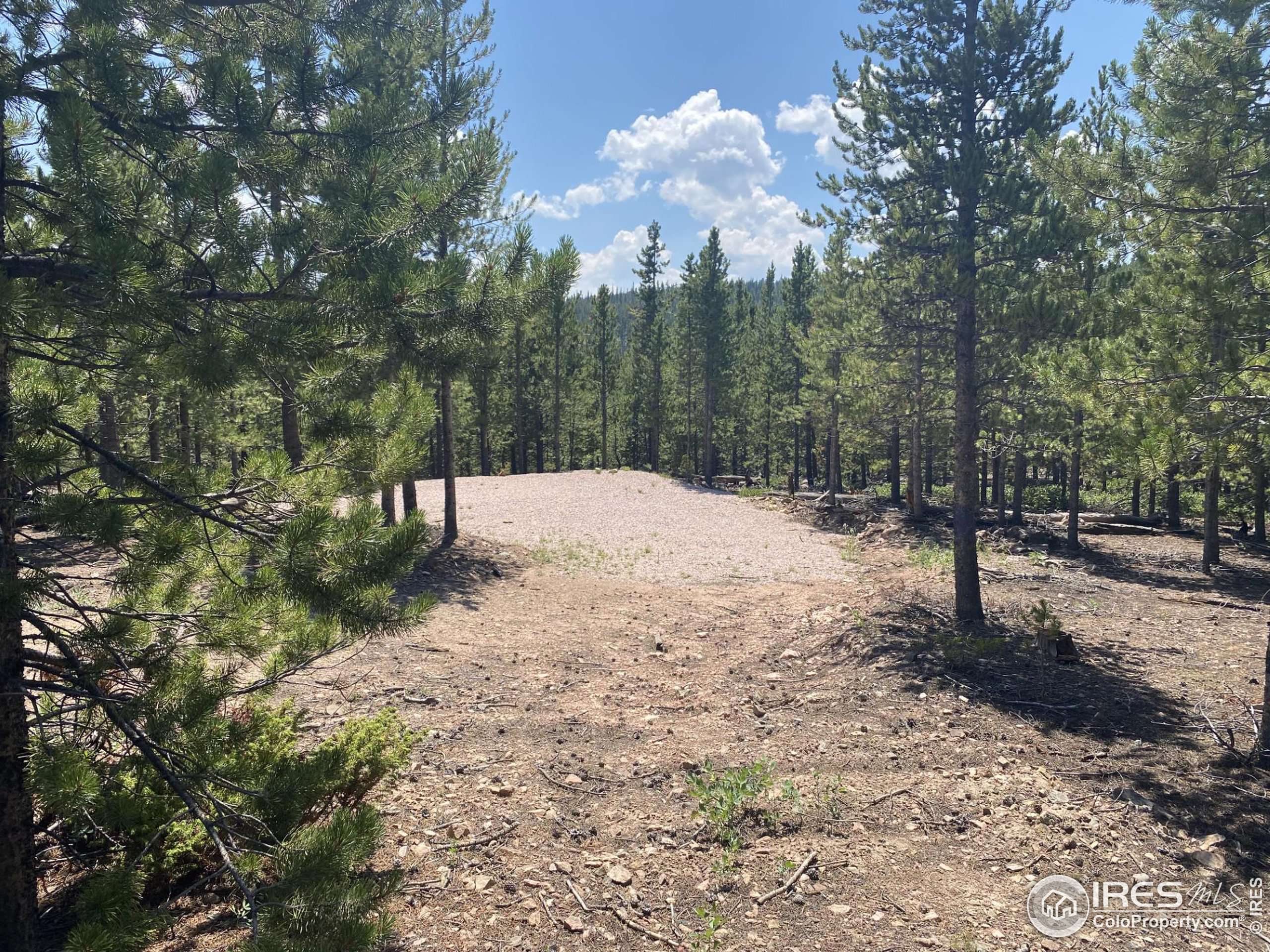 Red Feather Lakes, CO 80545,156 Penobscot Ct