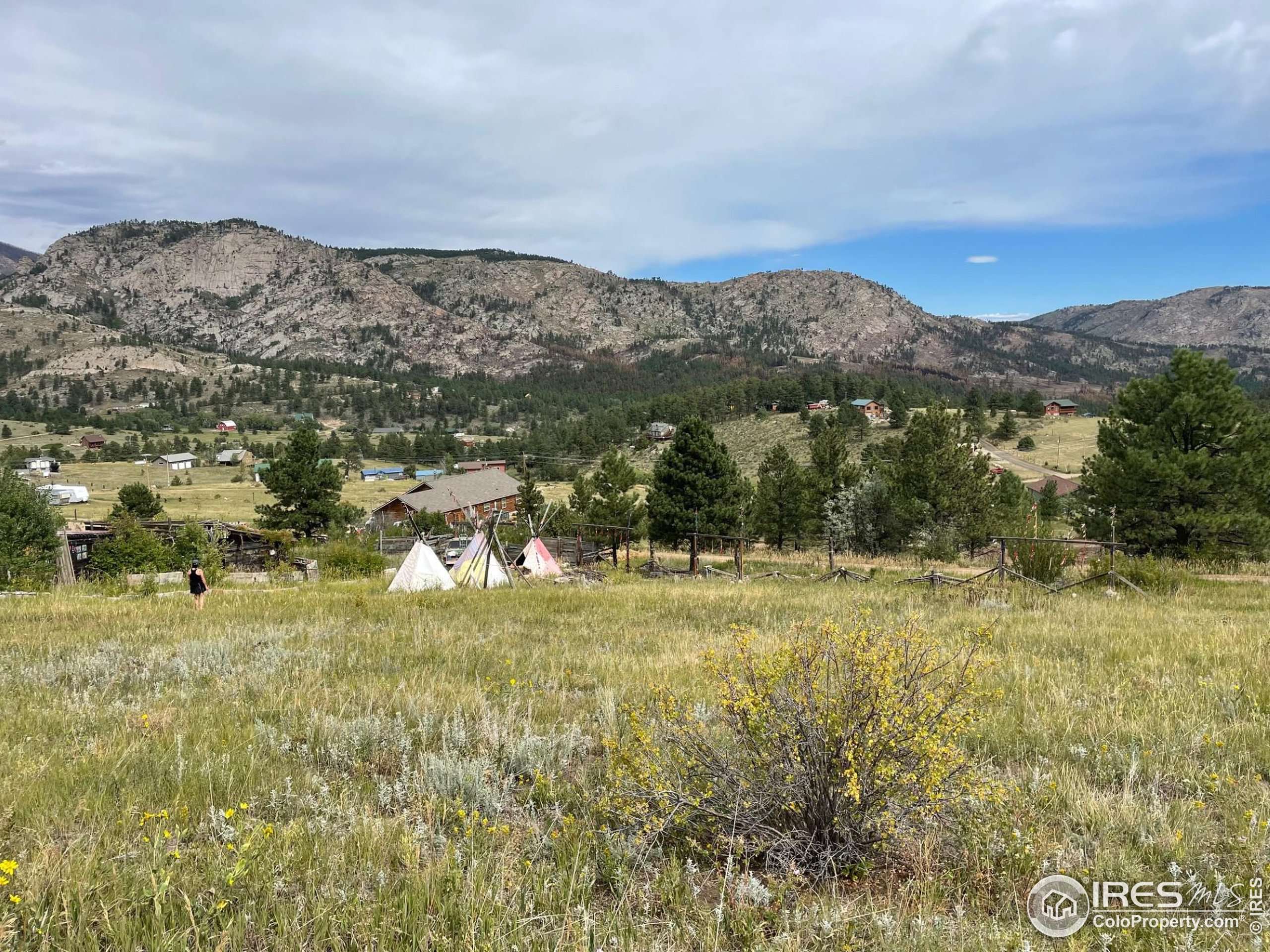 Drake, CO 80515,1843 Palisade Mountain Dr