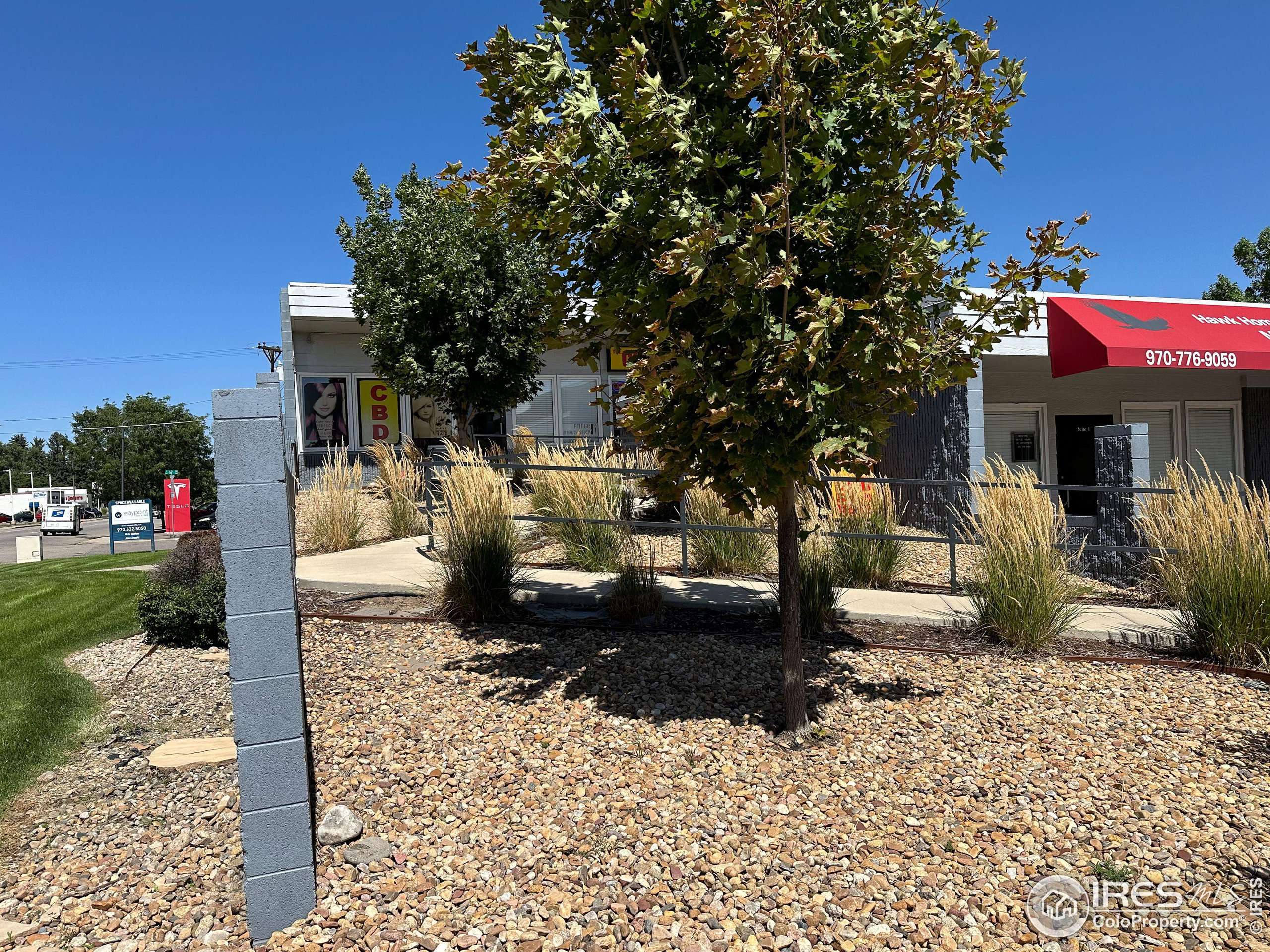 Loveland, CO 80538,1528 N Lincoln Ave #6
