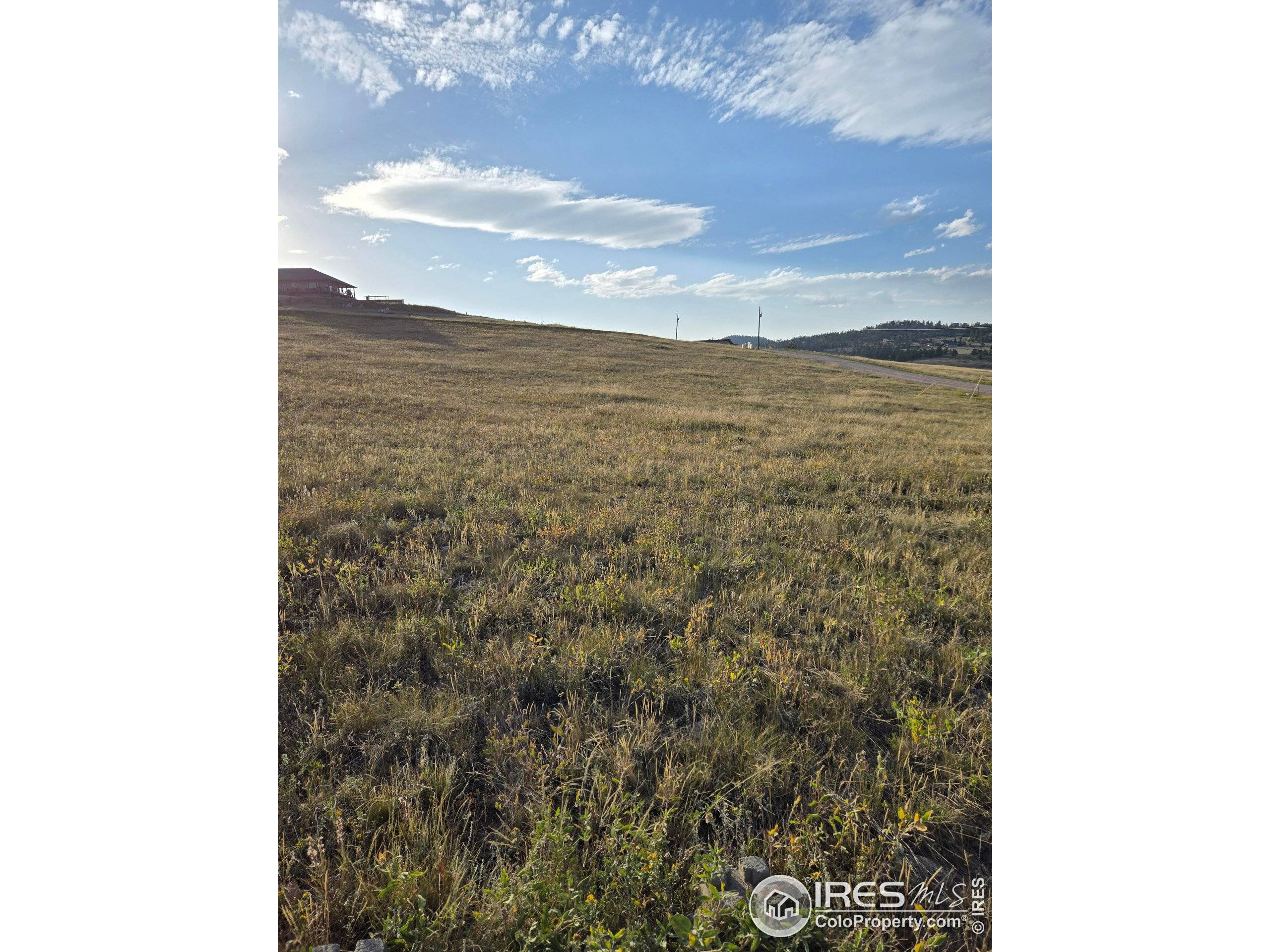 Livermore, CO 80536,443 Meadow Mountain Dr