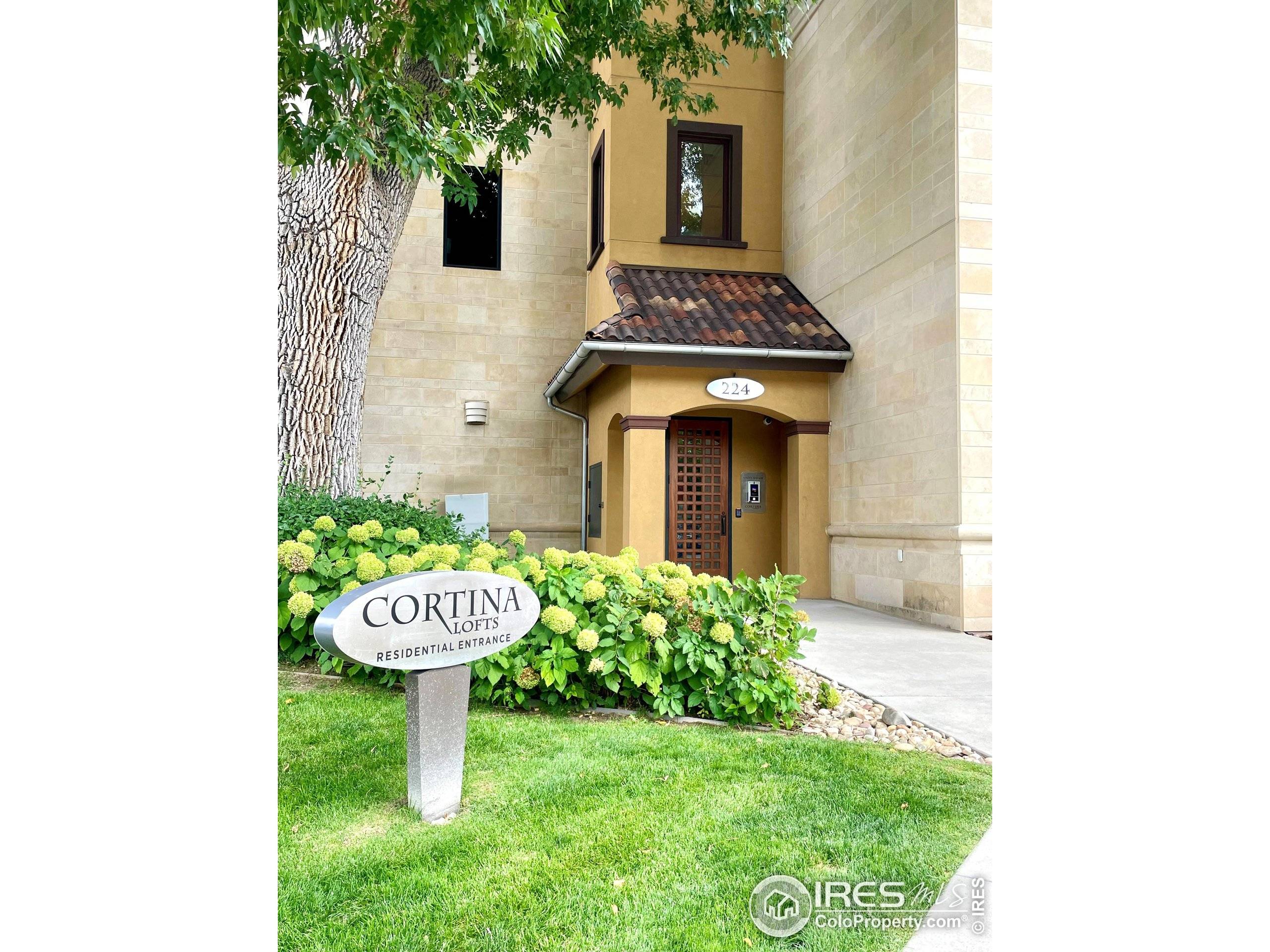 Fort Collins, CO 80521,224 Canyon Ave #306