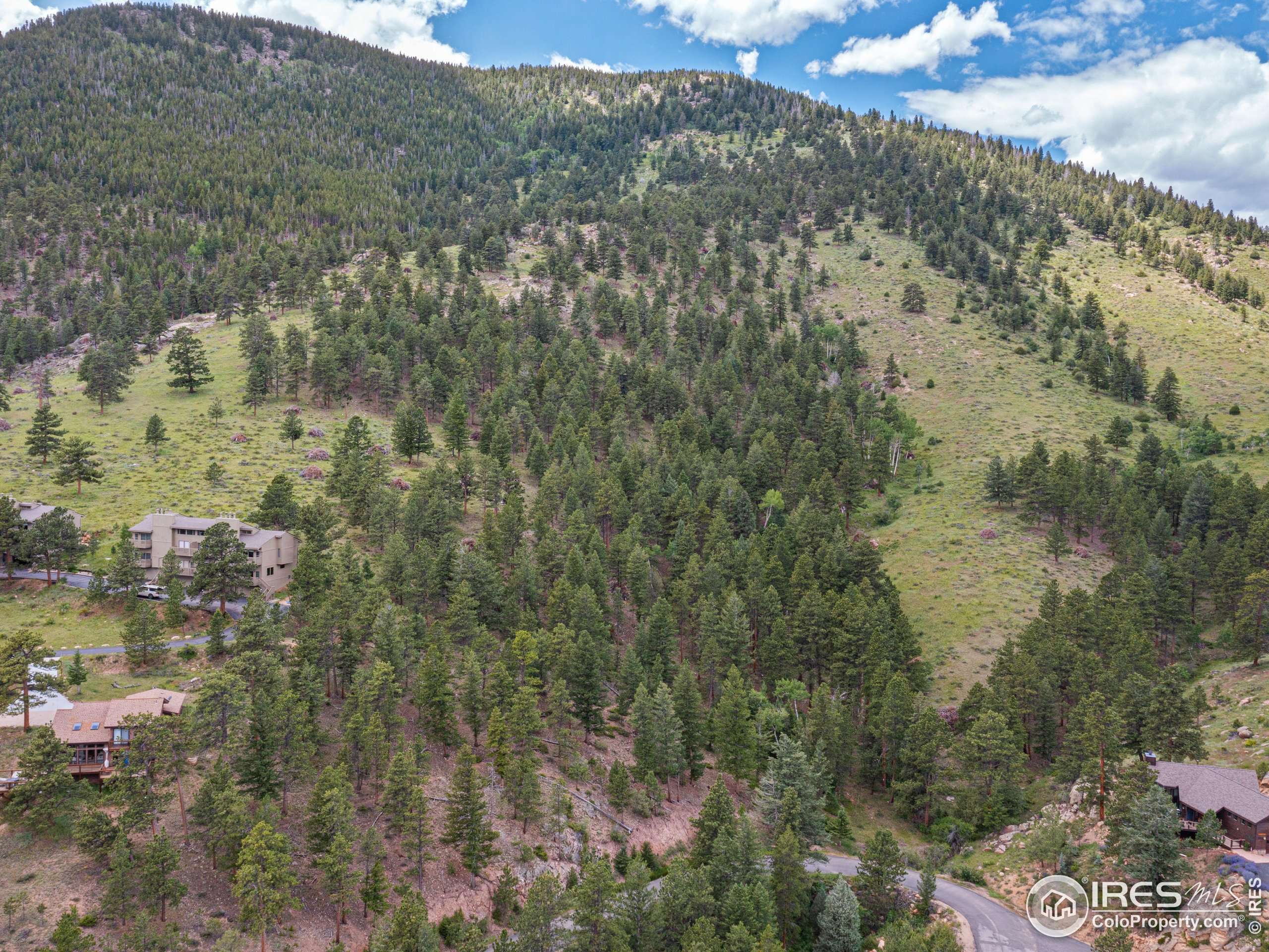 Estes Park, CO 80517,1078 Crestview Ct