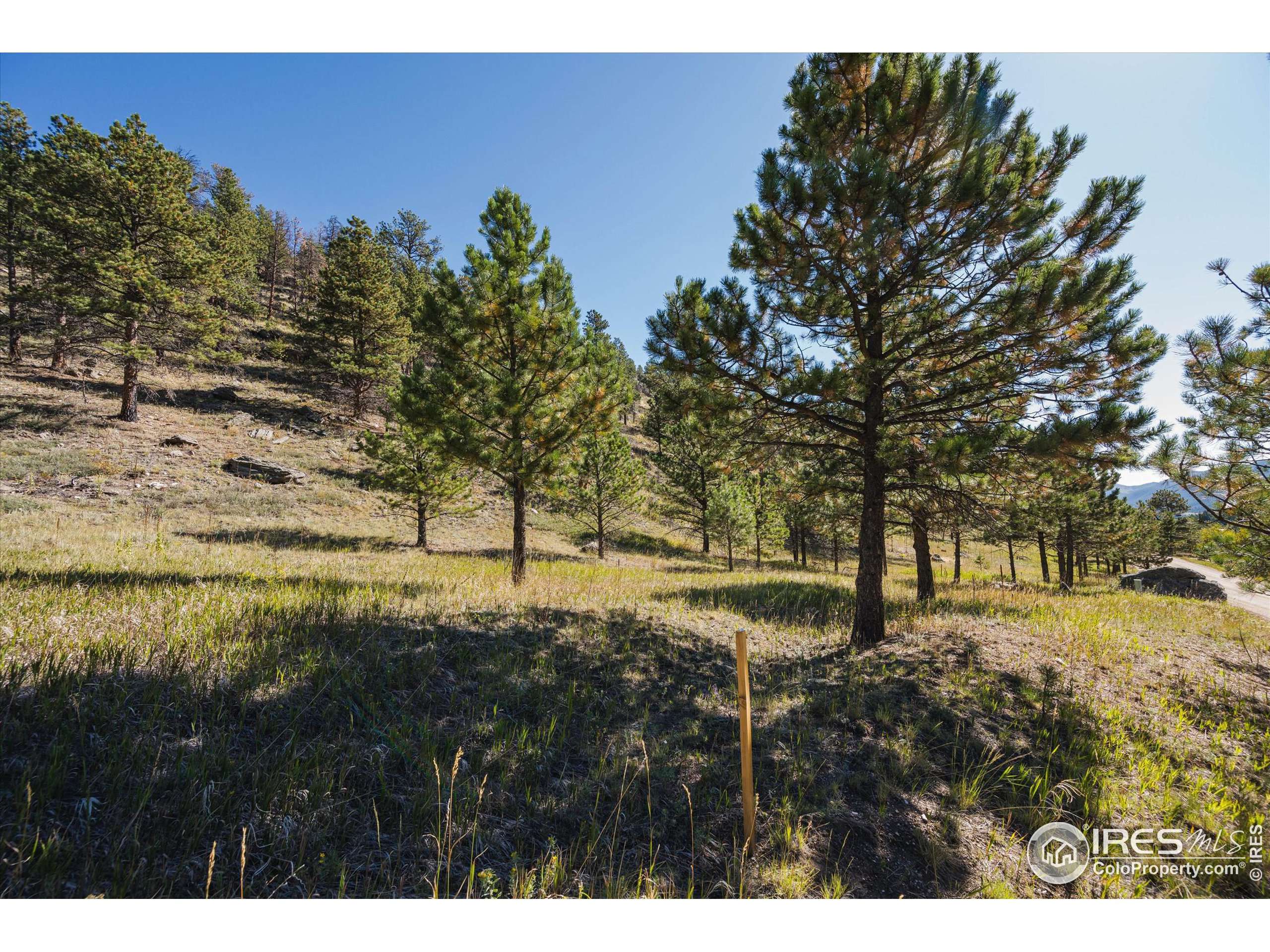 Glen Haven, CO 80532,TBD Dunraven Glade Rd