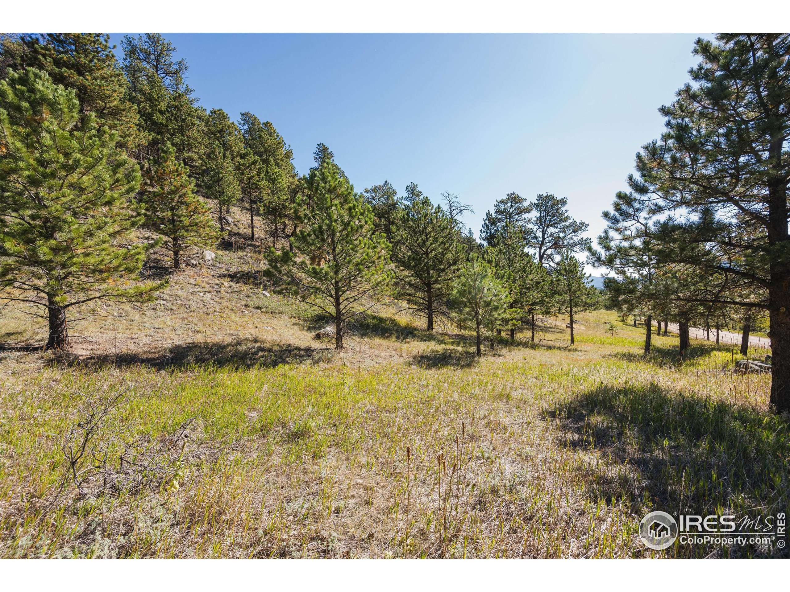 Glen Haven, CO 80532,TBD Dunraven Glade Rd