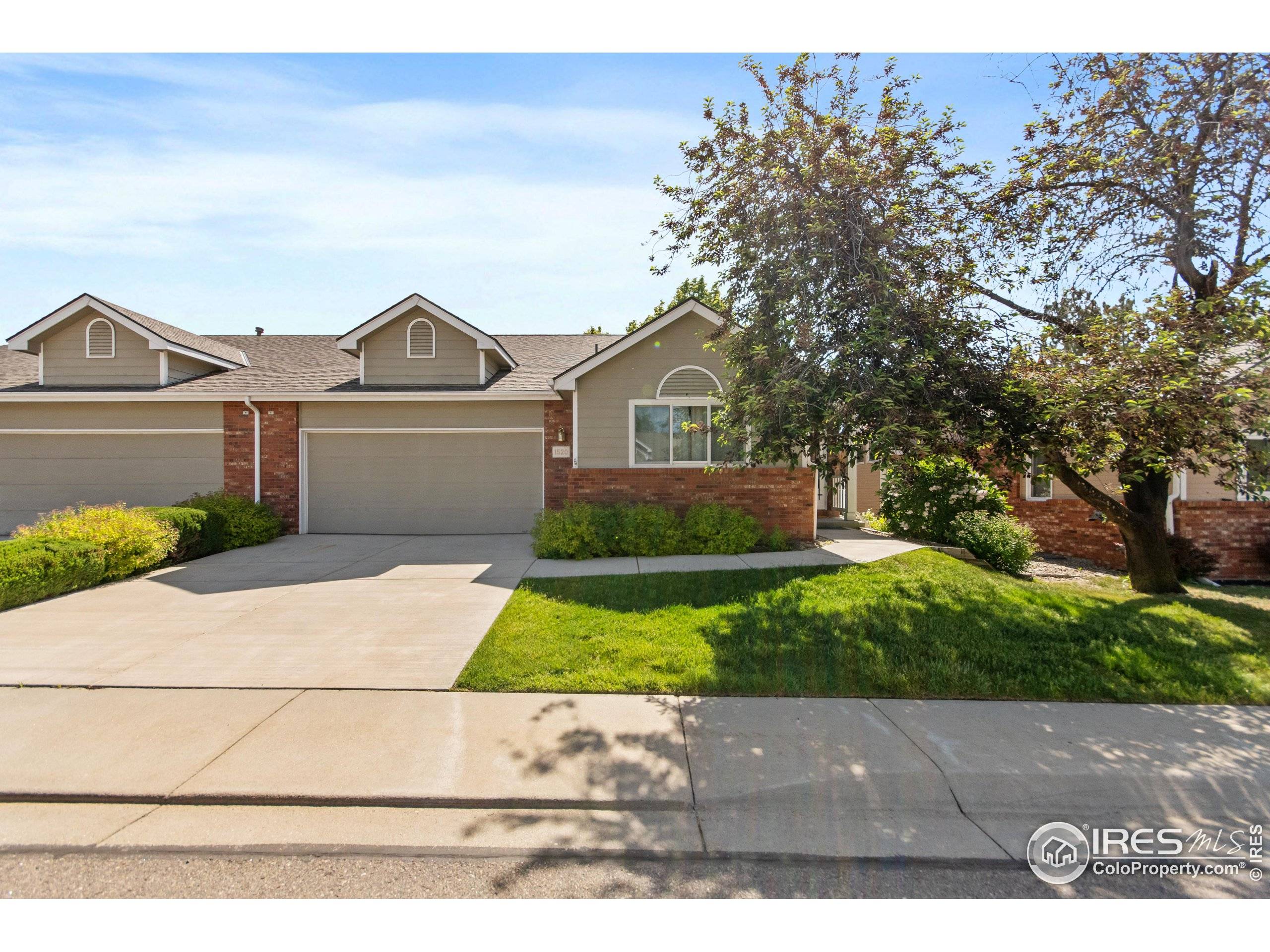 Longmont, CO 80501,1520 Tulip Ct