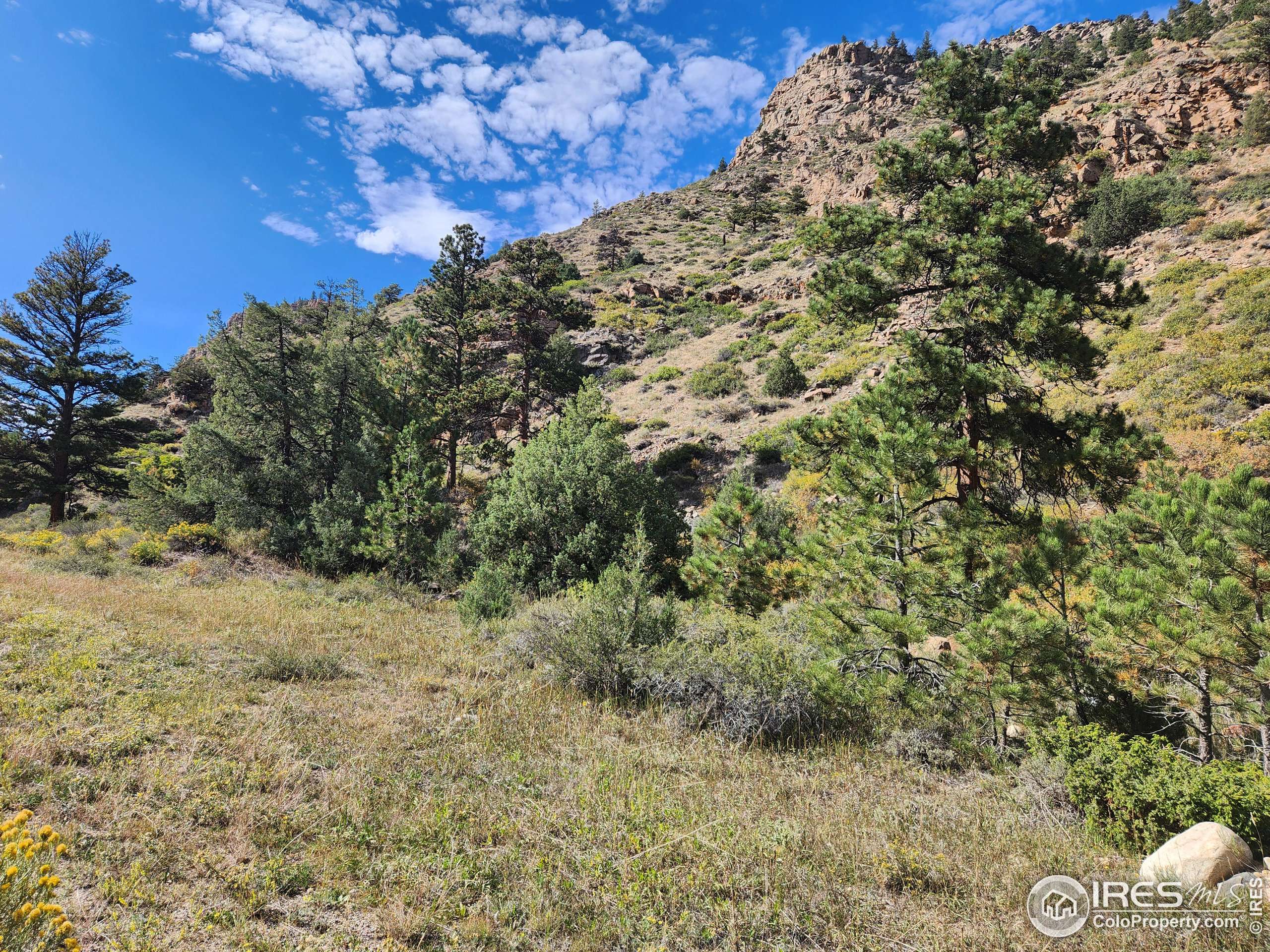 Bellvue, CO 80512,0 TBD Poudre Canyon Road