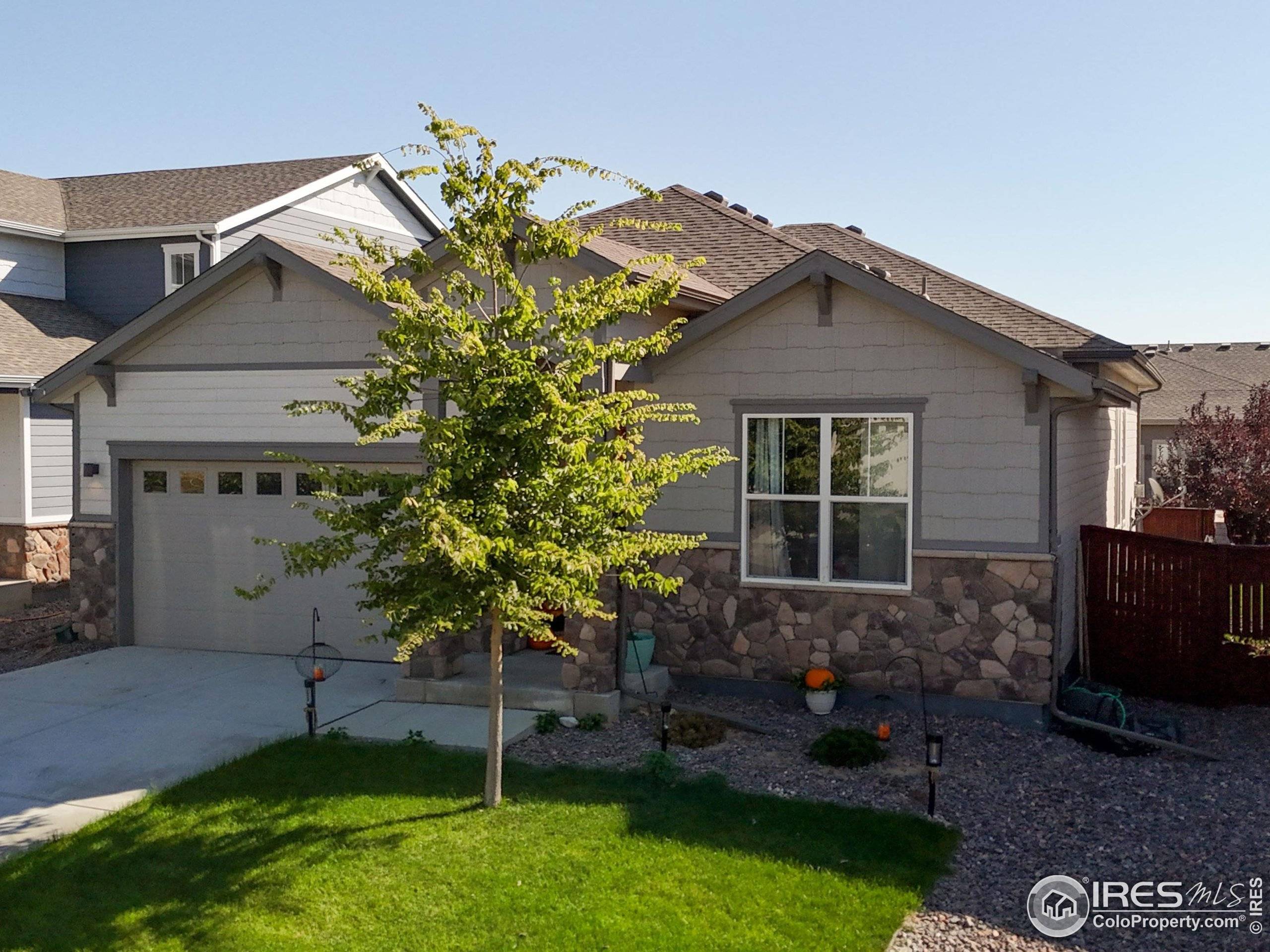 Windsor, CO 80550,2093 Gather Ct