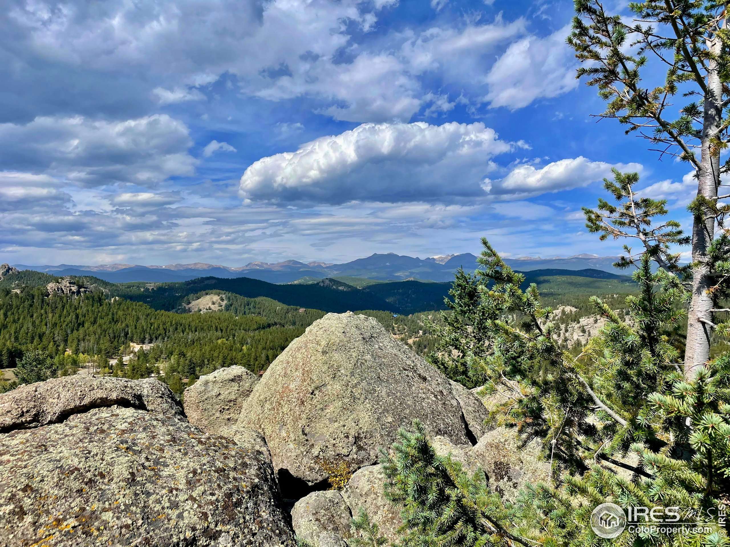 Golden, CO 80403,1282 Coal Creek Canyon Rd