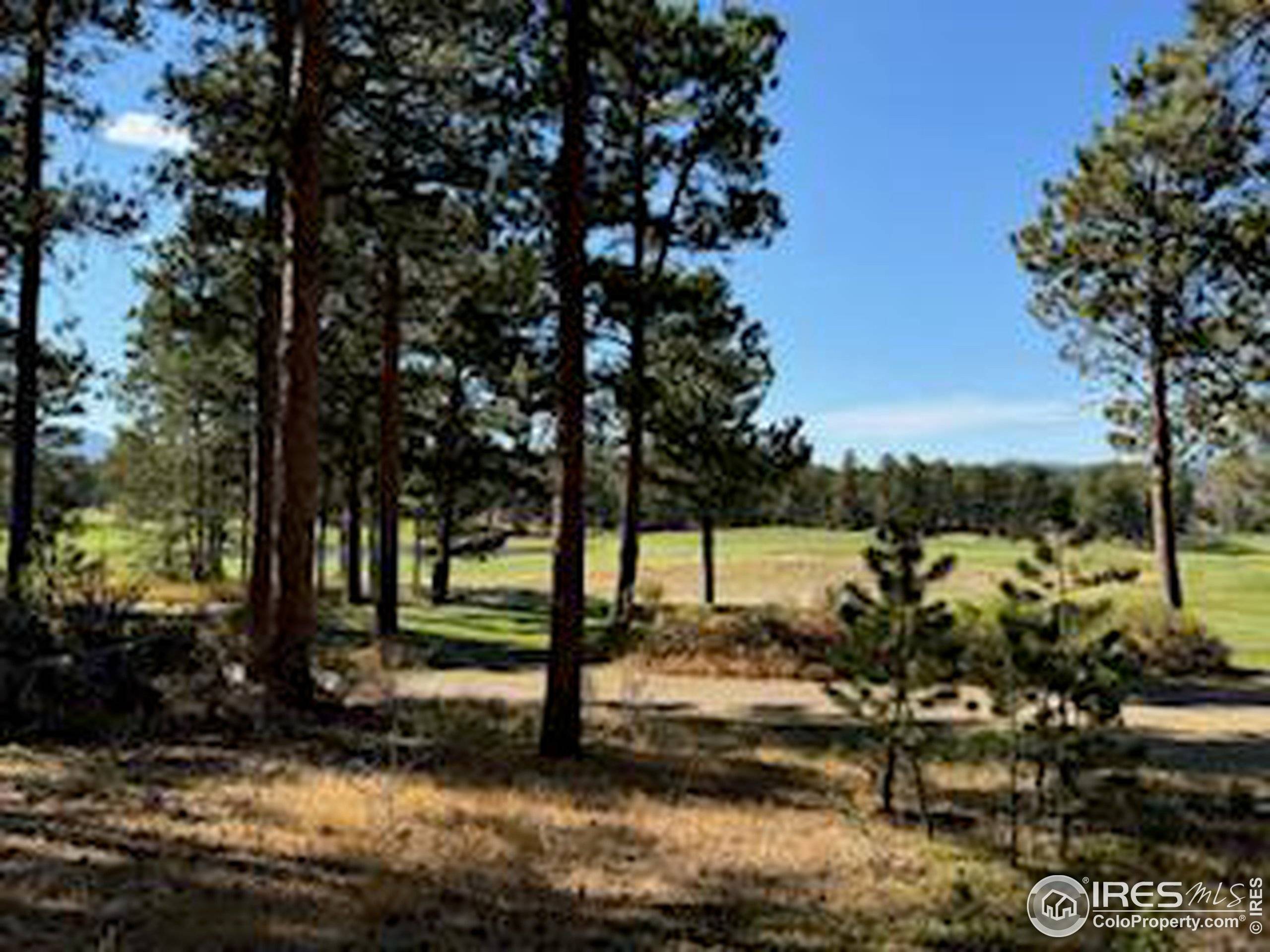 Red Feather Lakes, CO 80545,2221 E Fox Acres Dr E