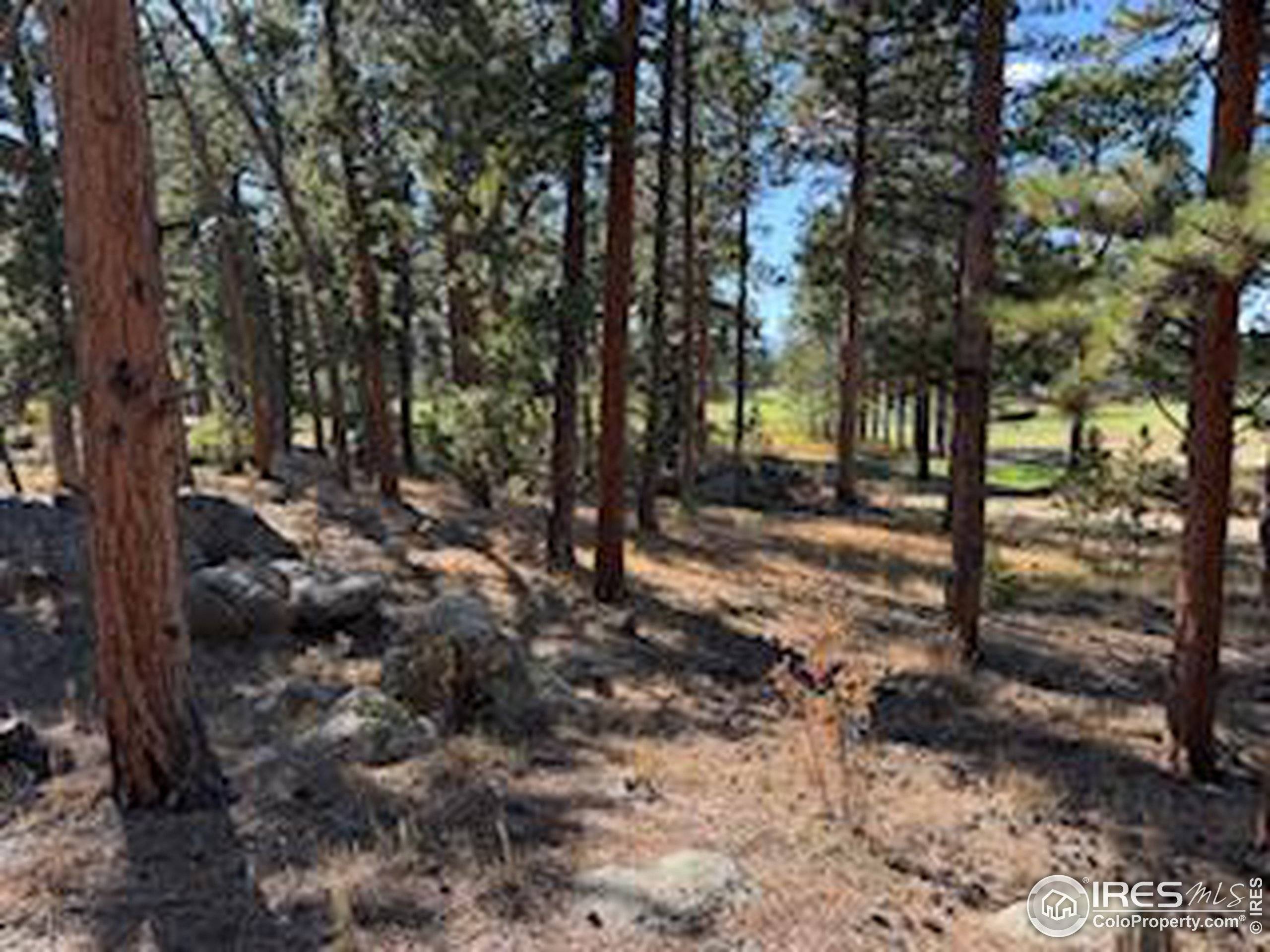 Red Feather Lakes, CO 80545,2221 E Fox Acres Dr E