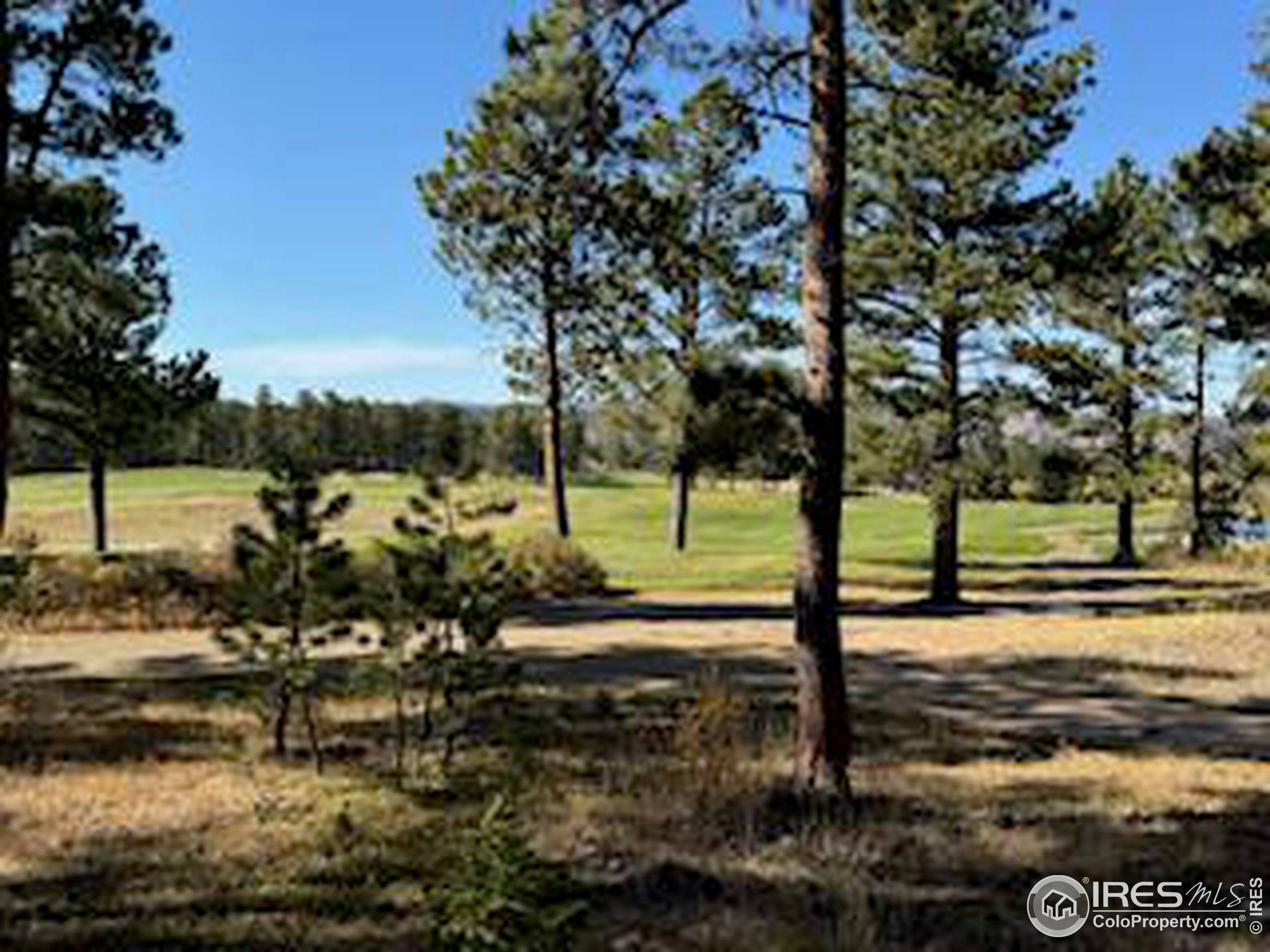 Red Feather Lakes, CO 80545,2221 E Fox Acres Dr E