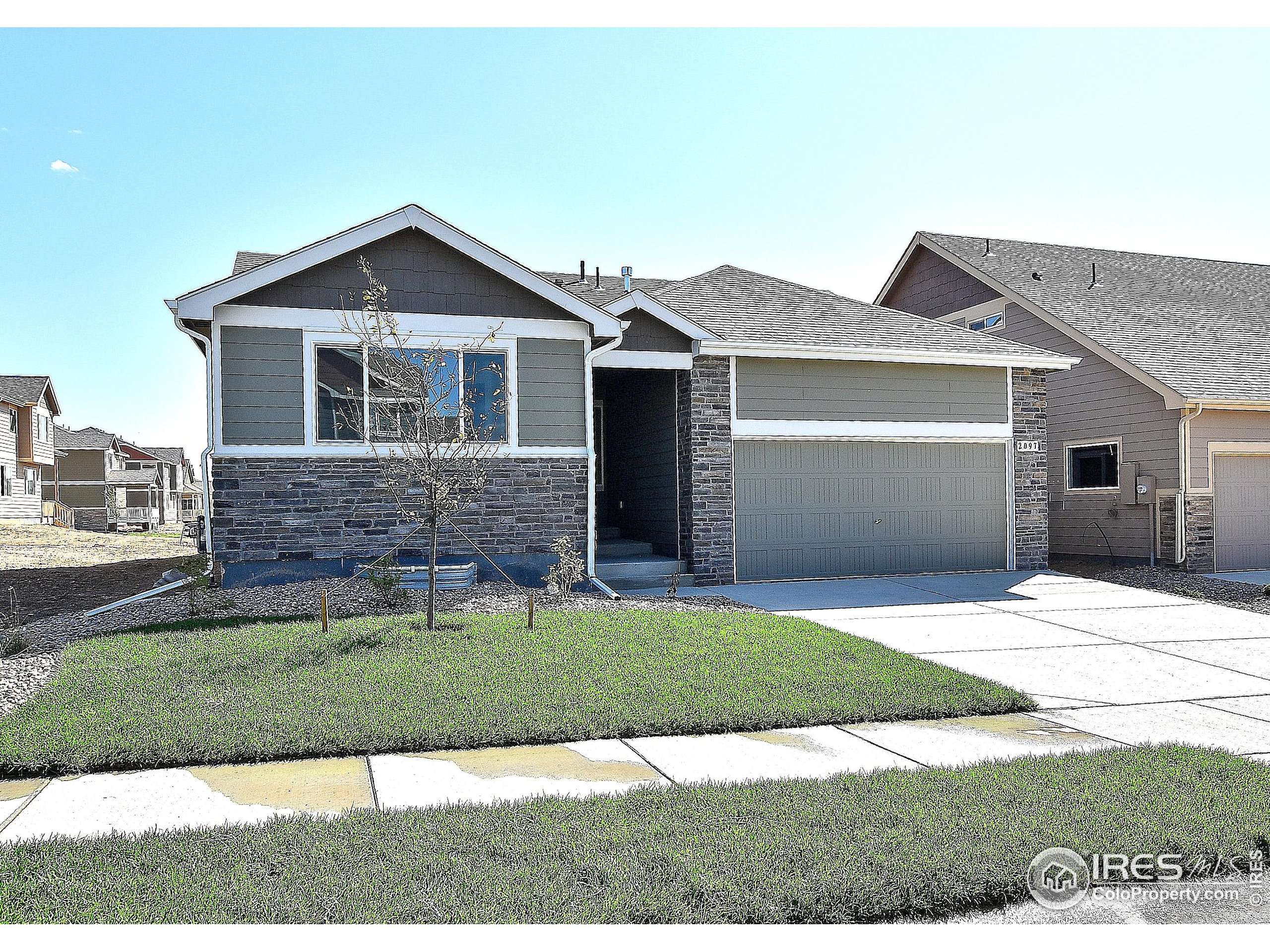 Windsor, CO 80550,2365 Candence Ln