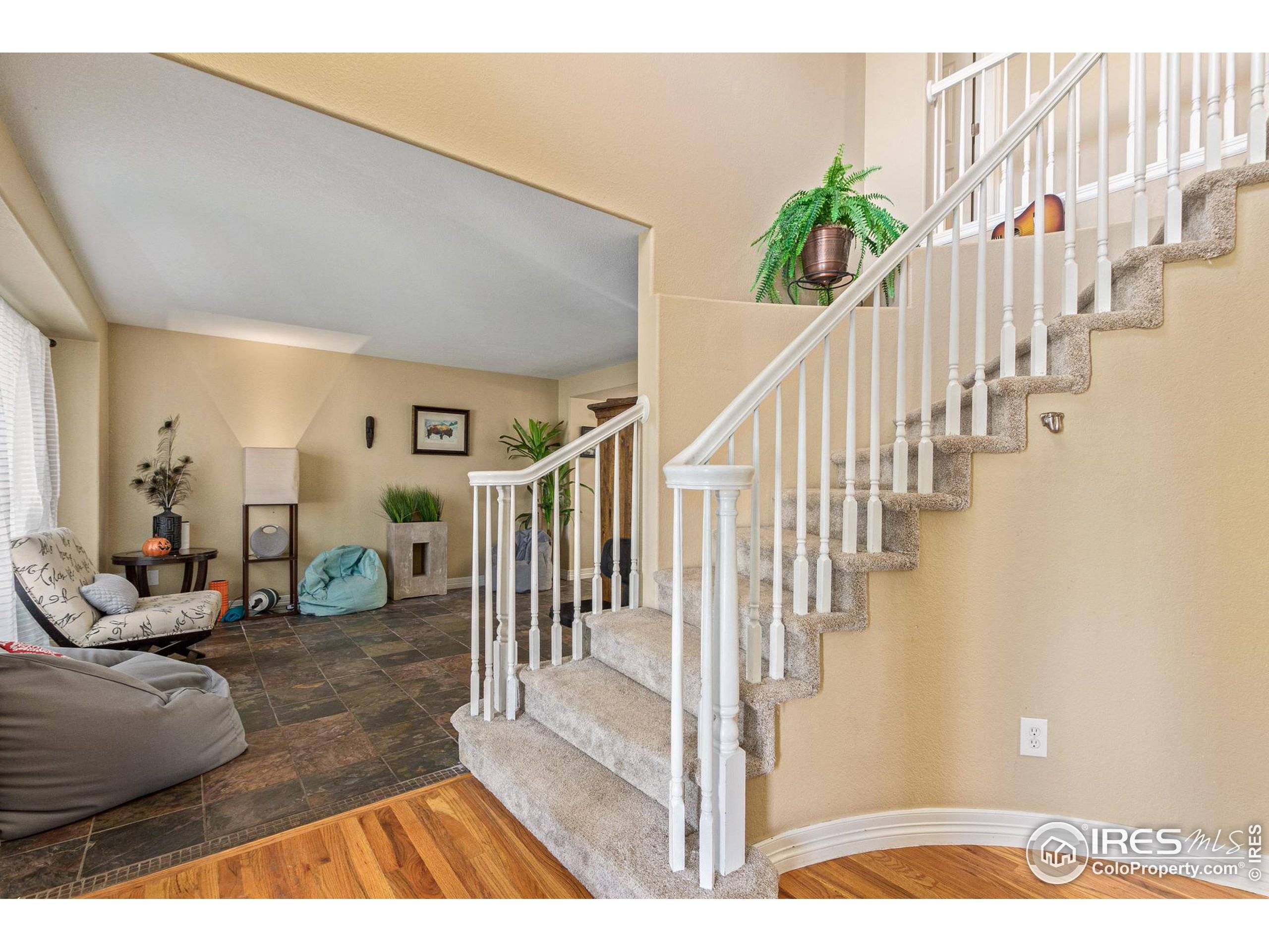 Fort Collins, CO 80528,5006 Whitewood Ct