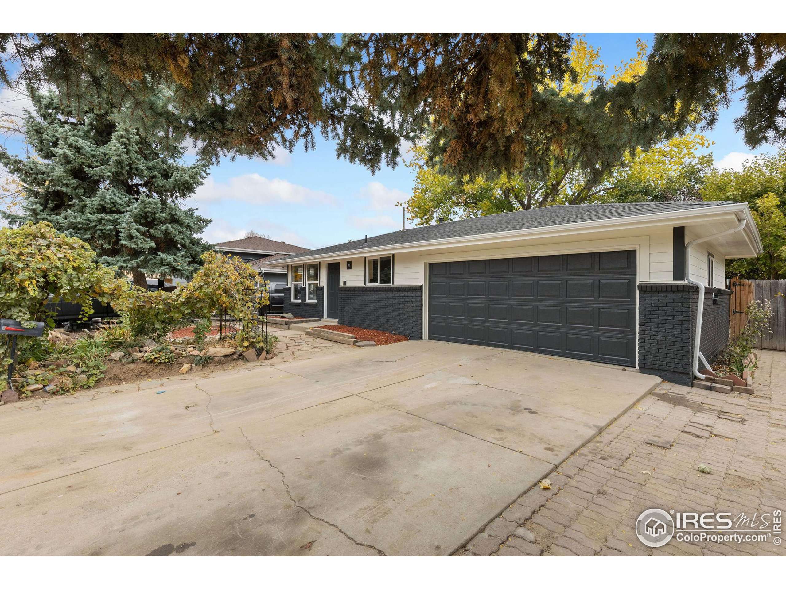 Longmont, CO 80504,1339 Martin St