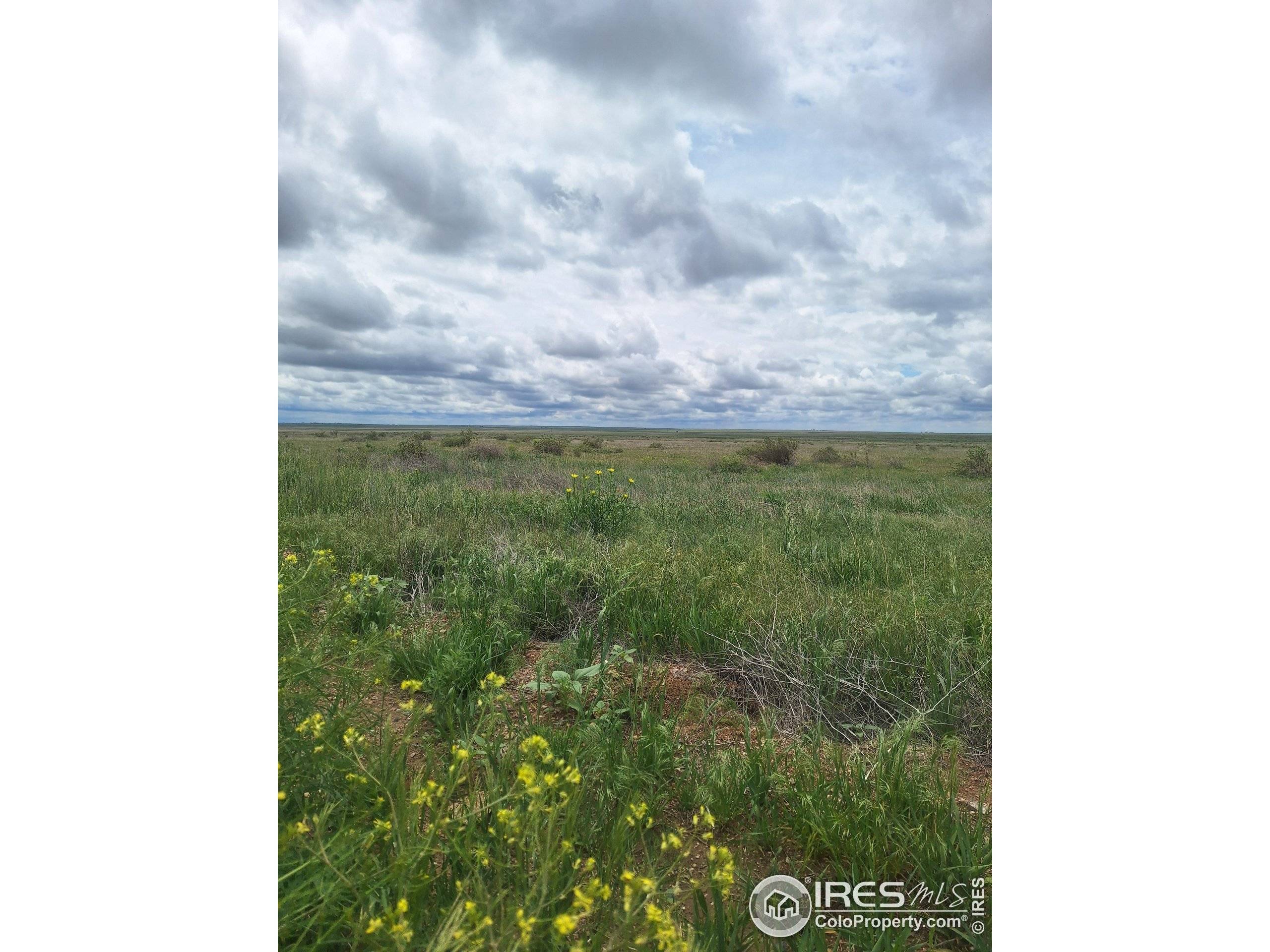 Briggsdale, CO 80611,0 Parcel 2 North
