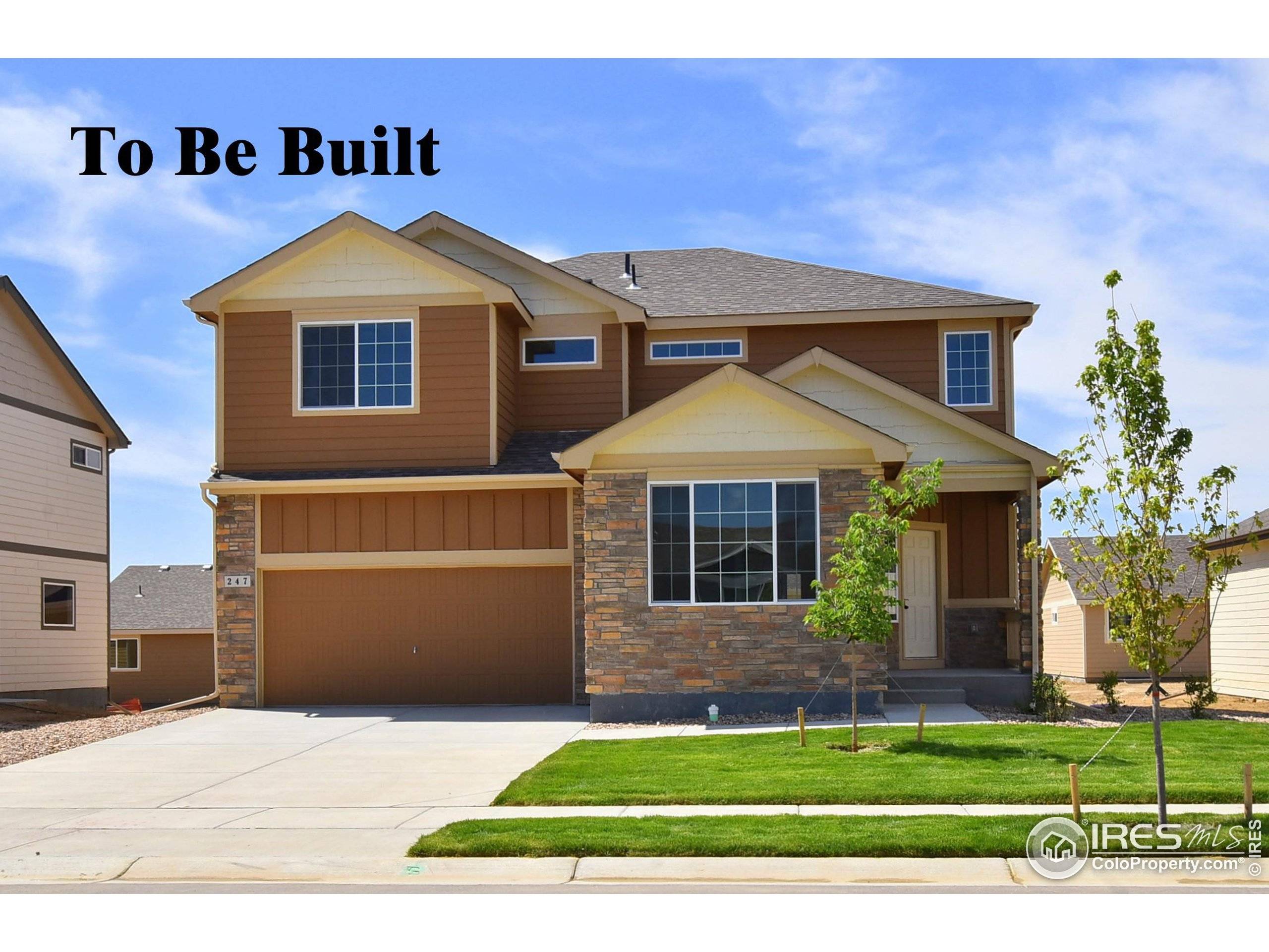 Windsor, CO 80550,431 Vivid Ln