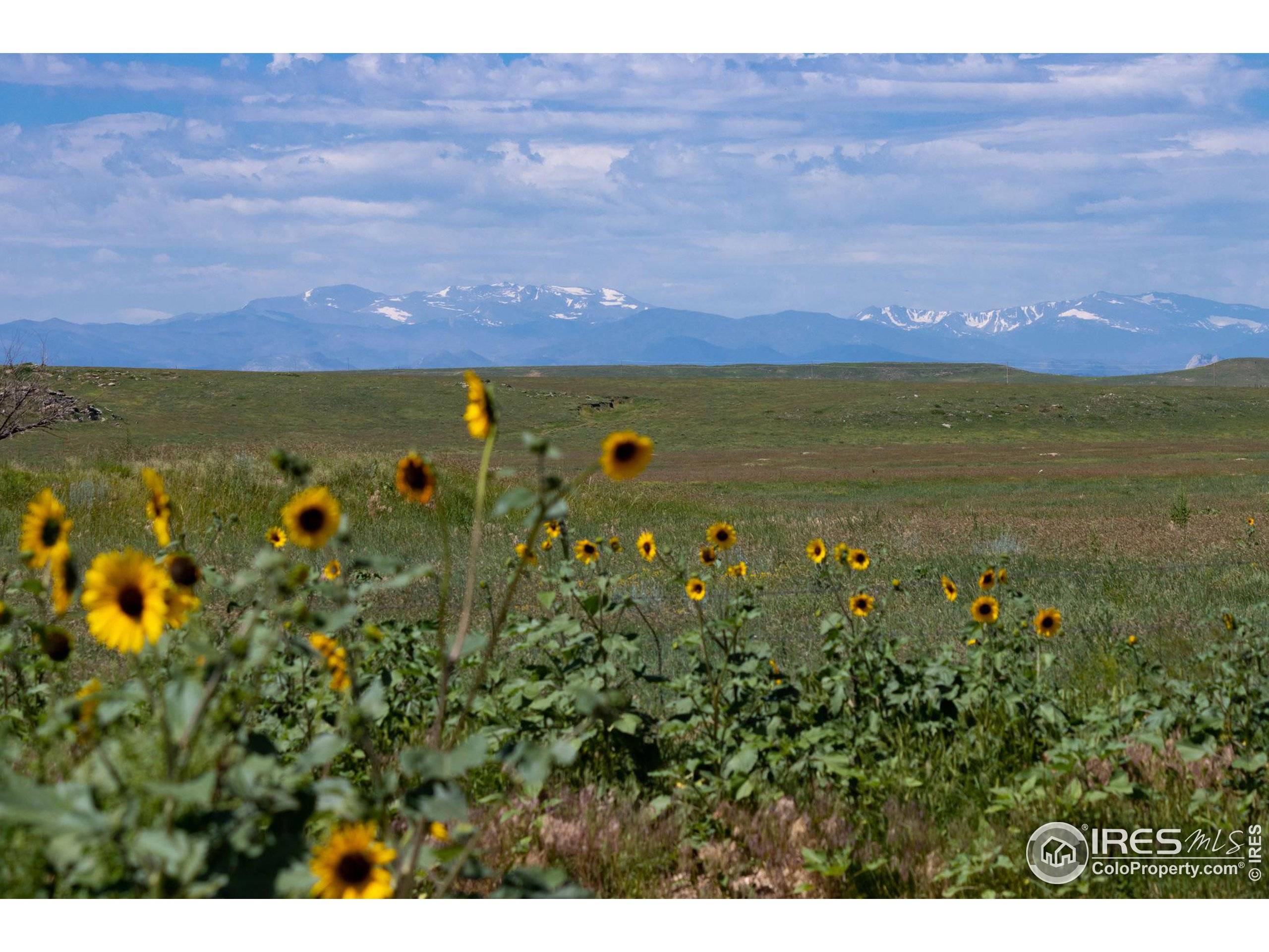 Carr, CO 80612,4 TBD County Road 21