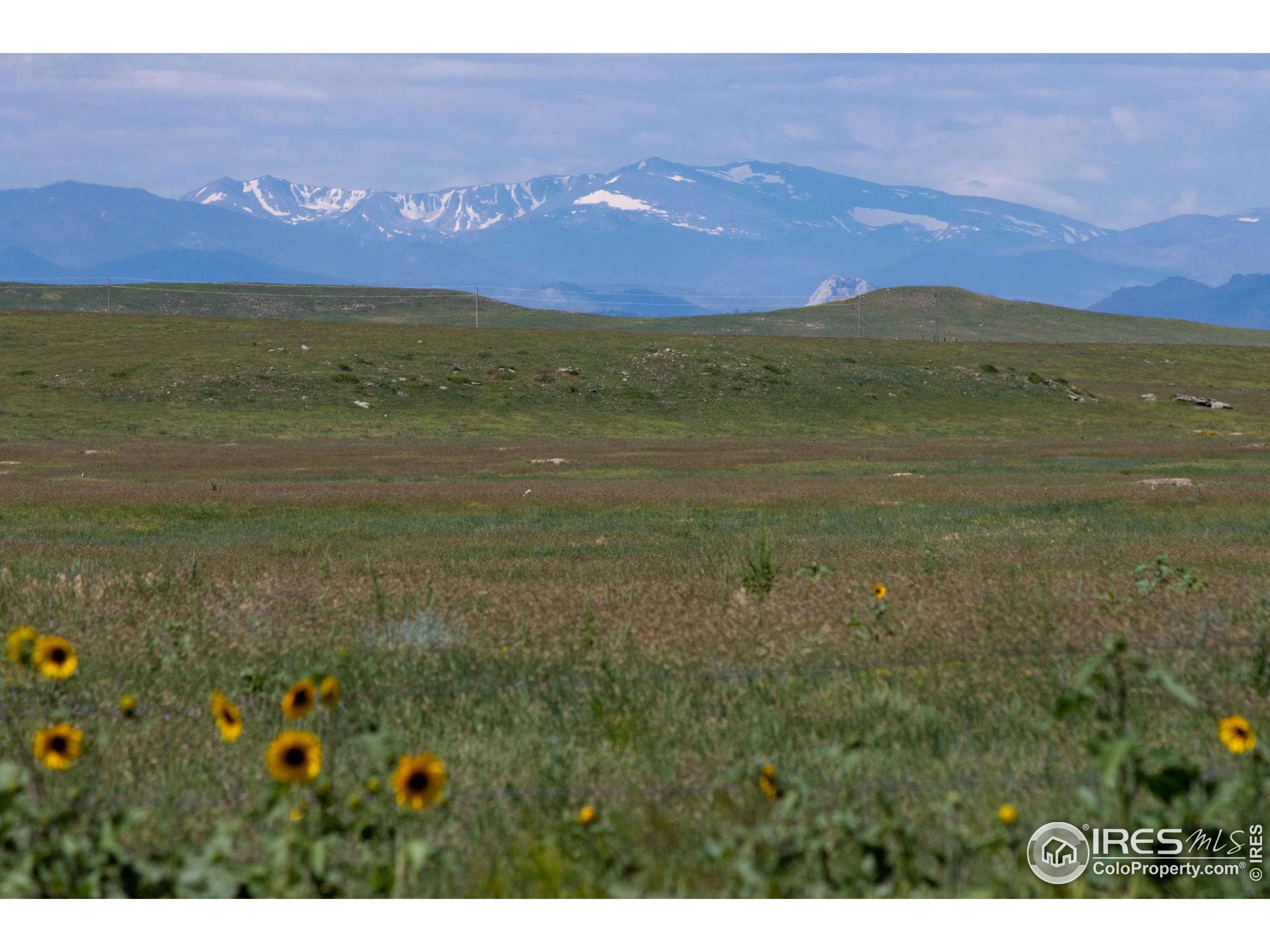 Carr, CO 80612,4 TBD County Road 21