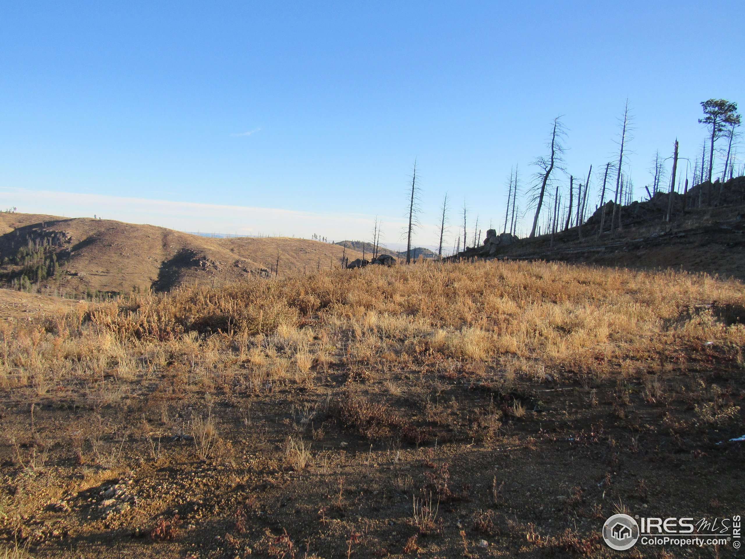 Bellvue, CO 80512,3839 Davis Ranch Rd