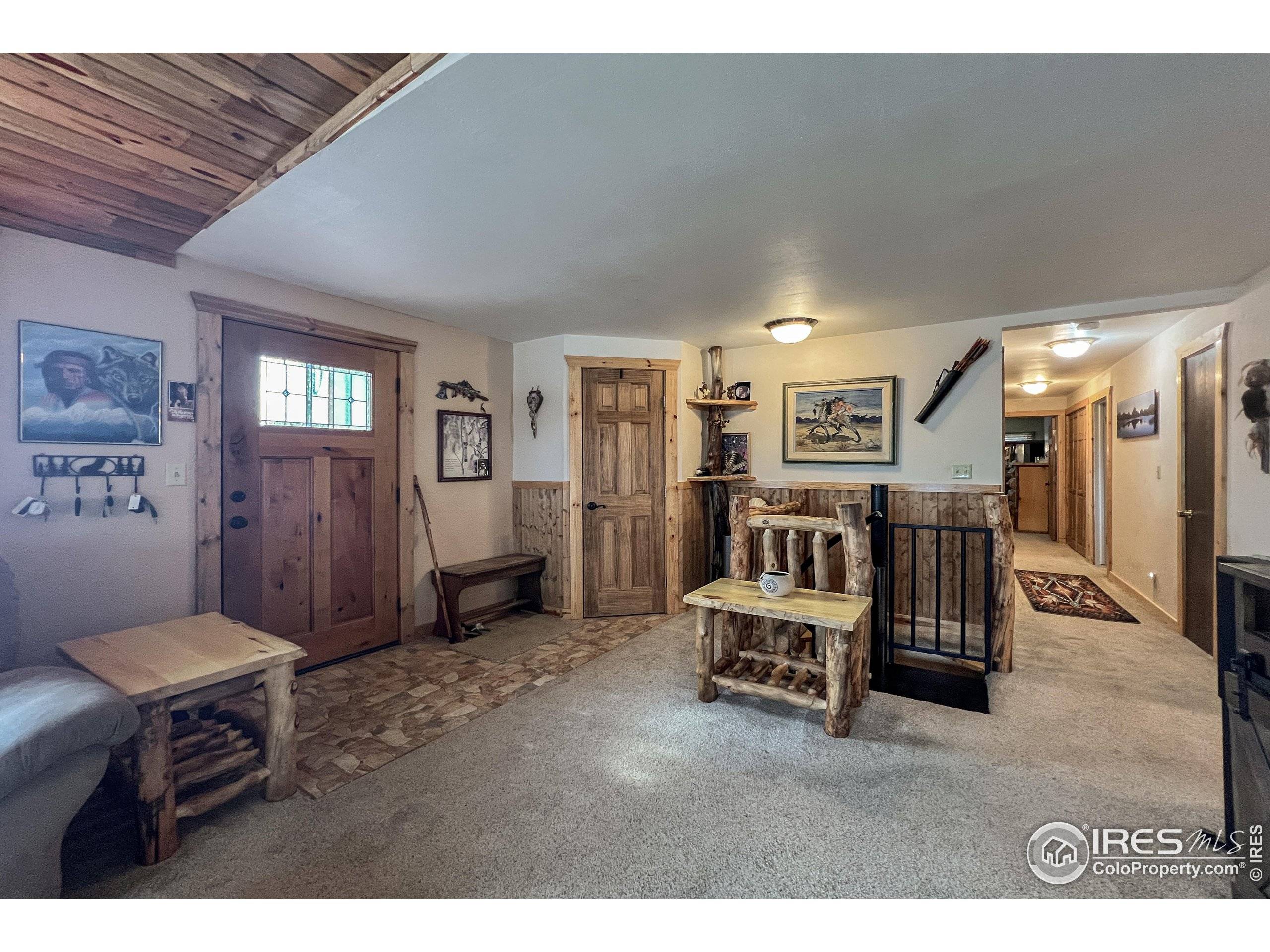 Red Feather Lakes, CO 80545,94 Chetan Ct