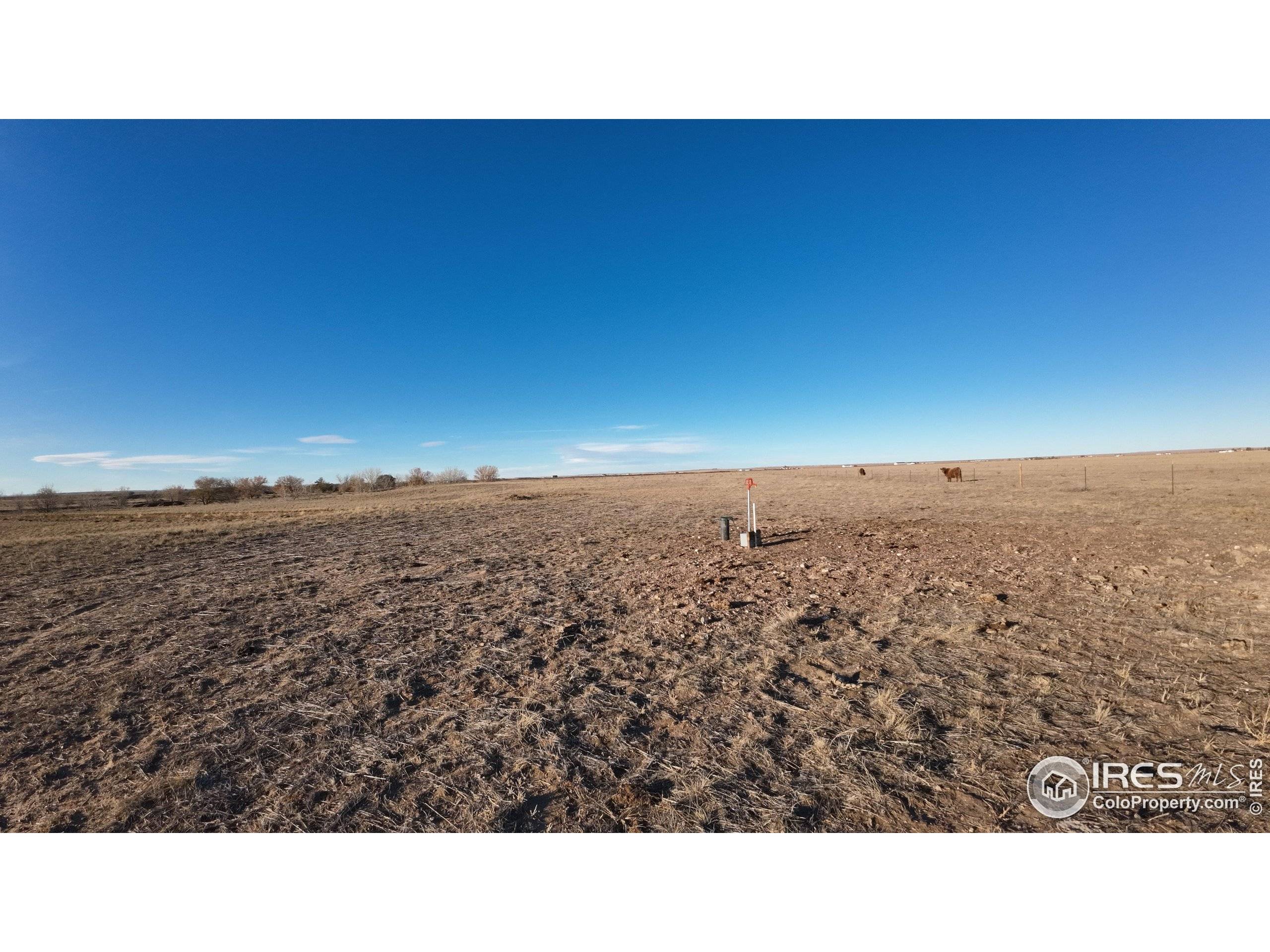 Nunn, CO 80648,0 (Lot #18) CR 100