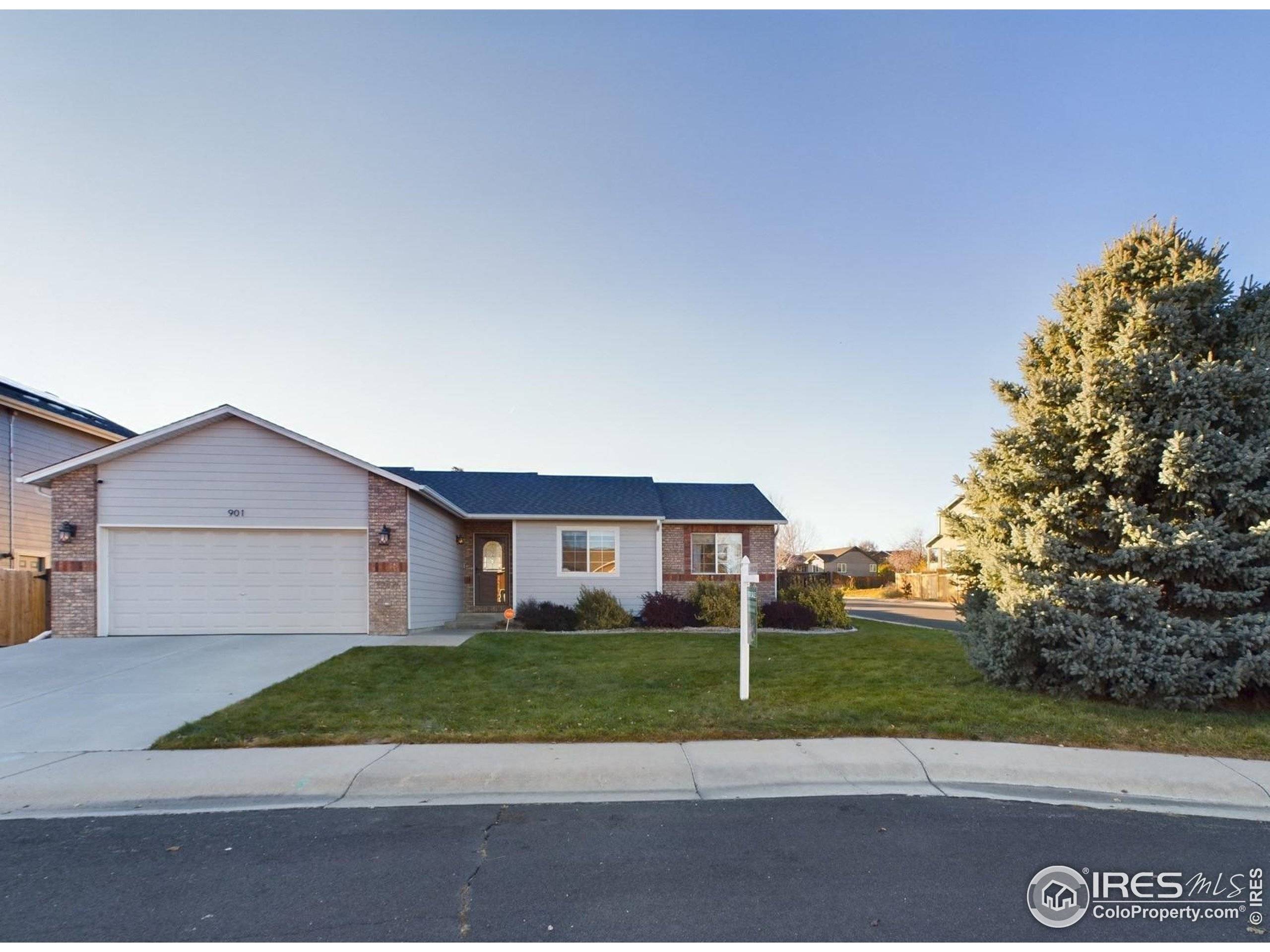 Severance, CO 80550,901 Cliffrose Way