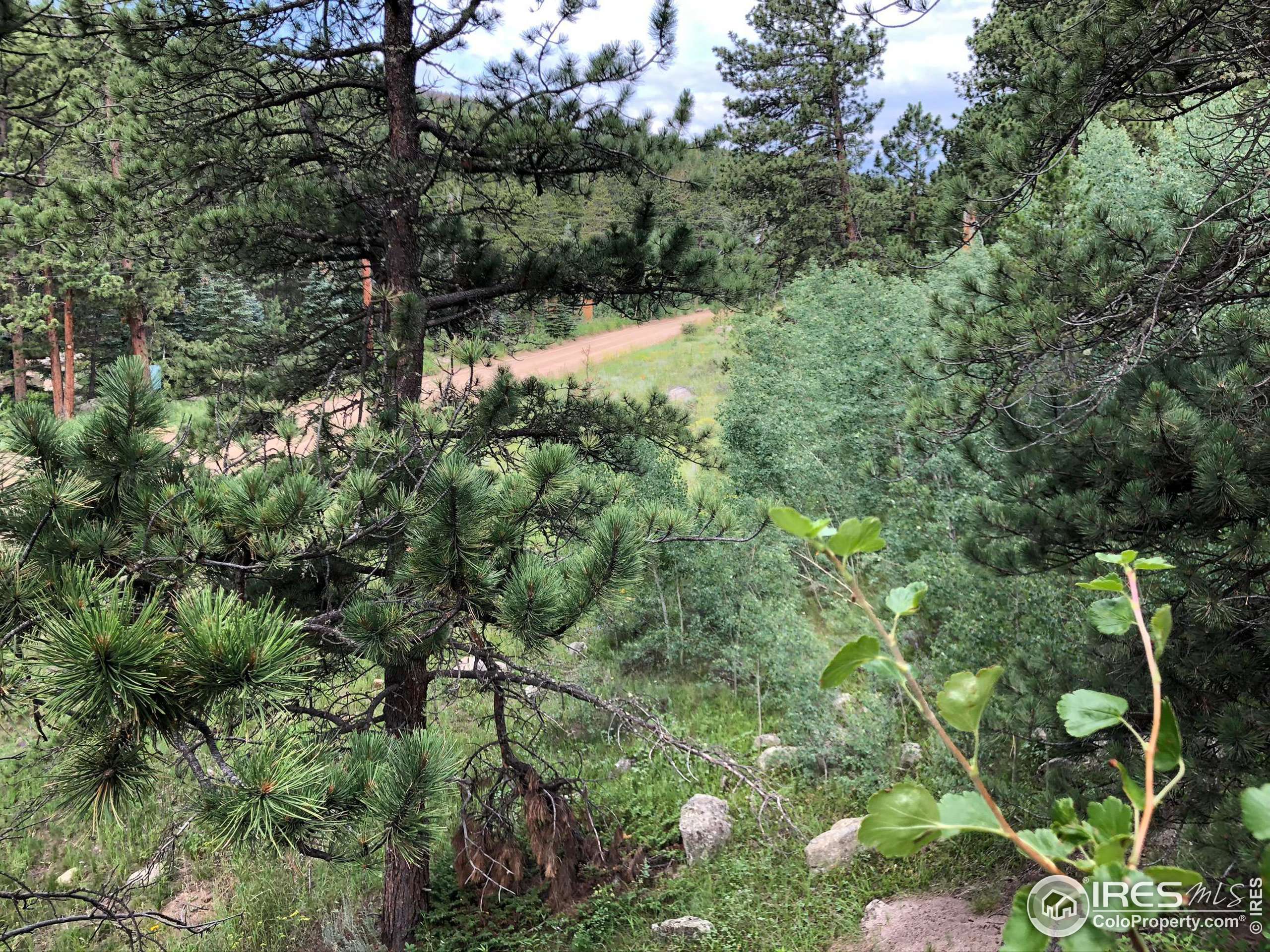 Nederland, CO 80466,0 Cold Springs Dr