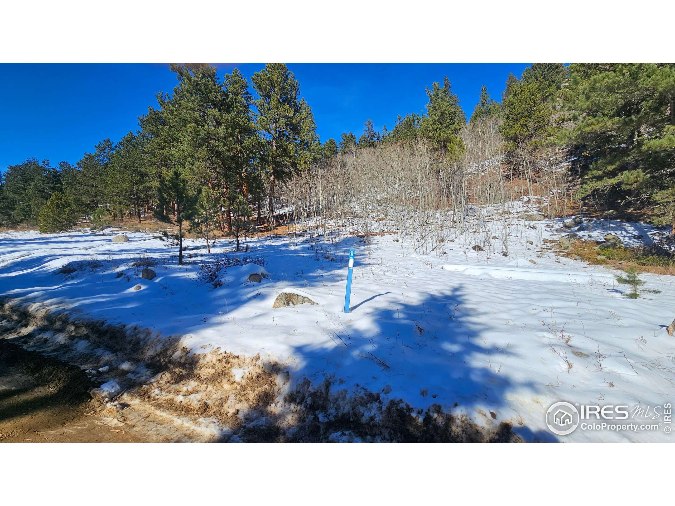 Nederland, CO 80466,0 Cold Springs Dr