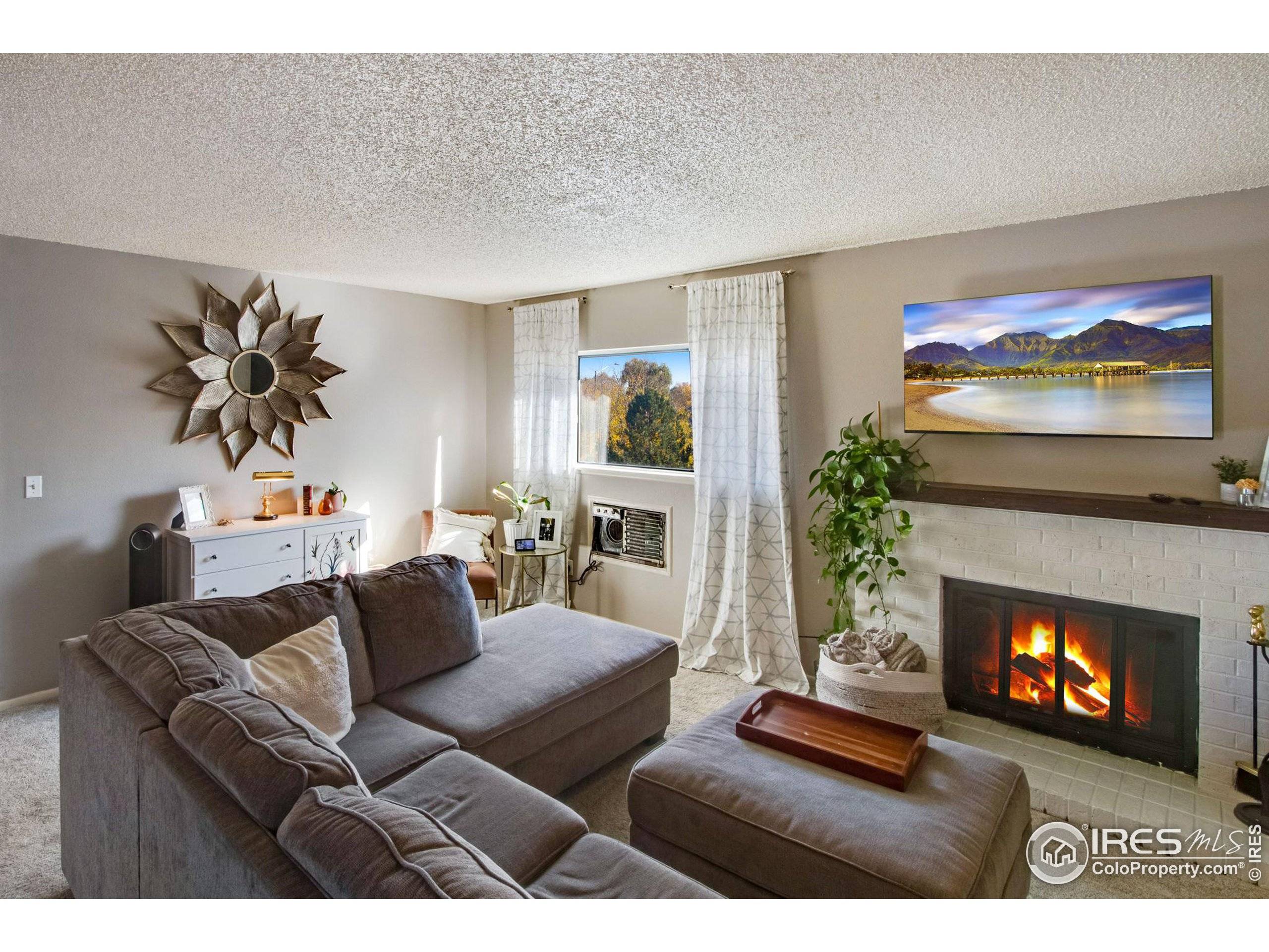 Fort Collins, CO 80525,1024 E Swallow Rd #231