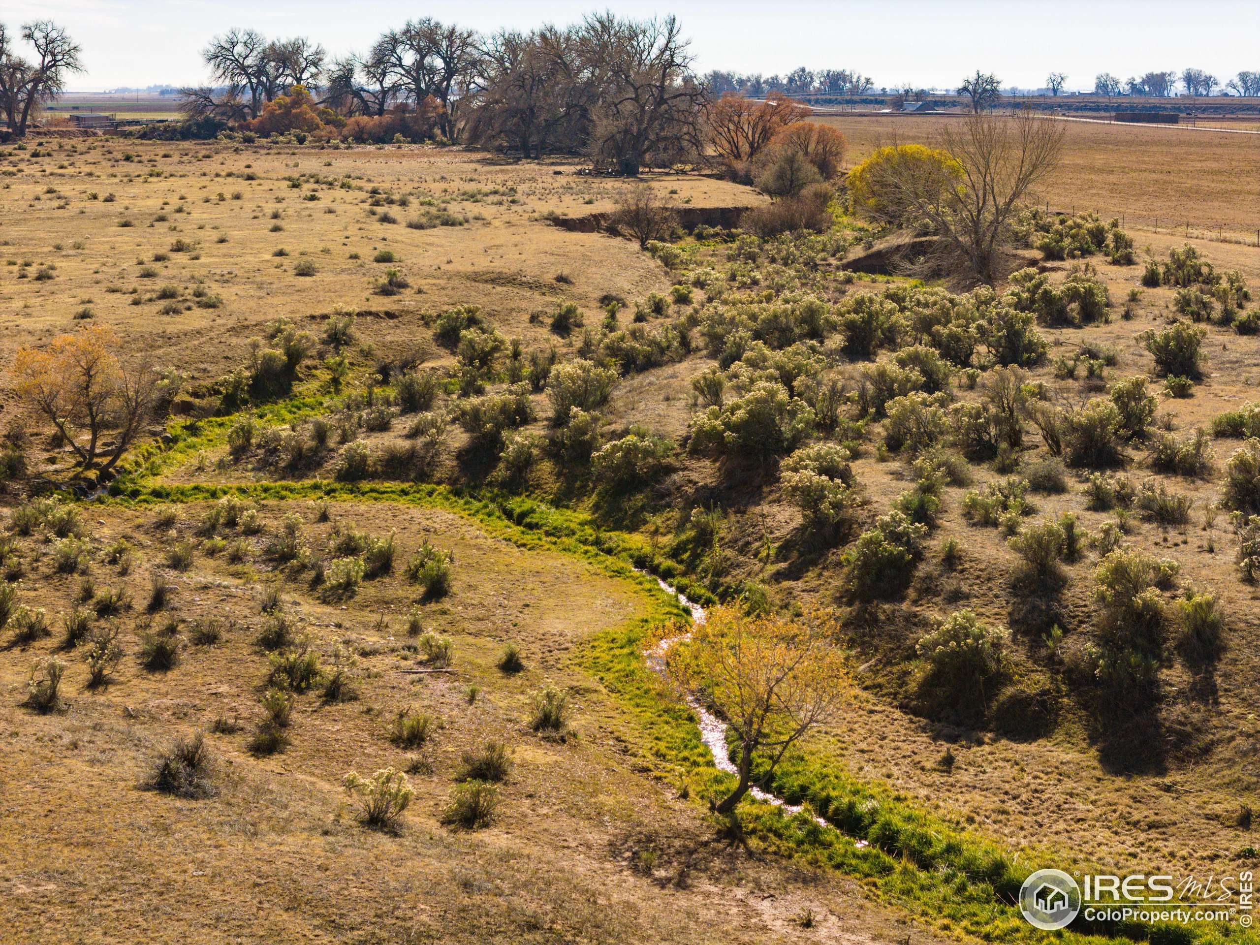 Wellington, CO 80549,CR 11