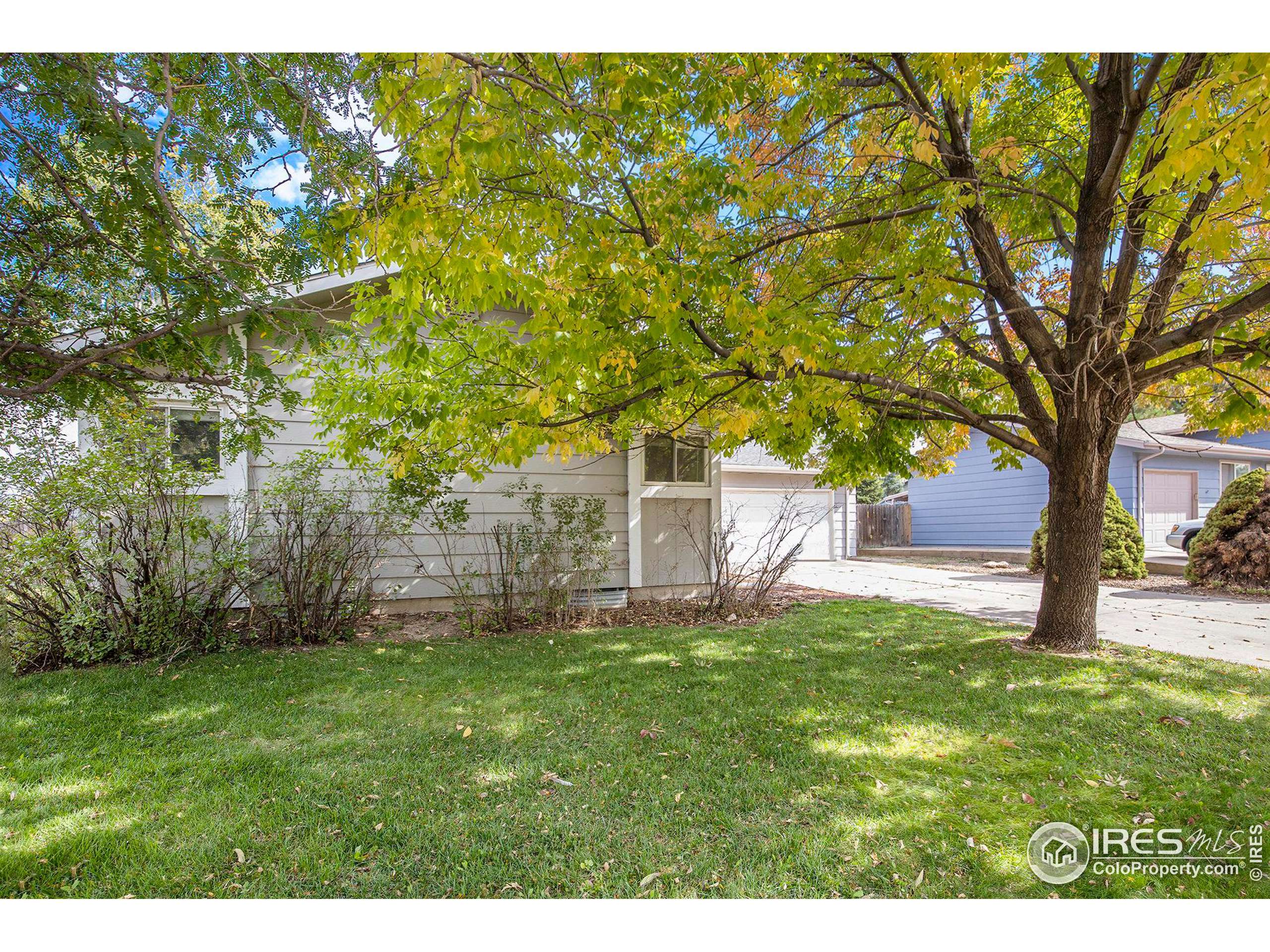 Greeley, CO 80634,804 41st Ave