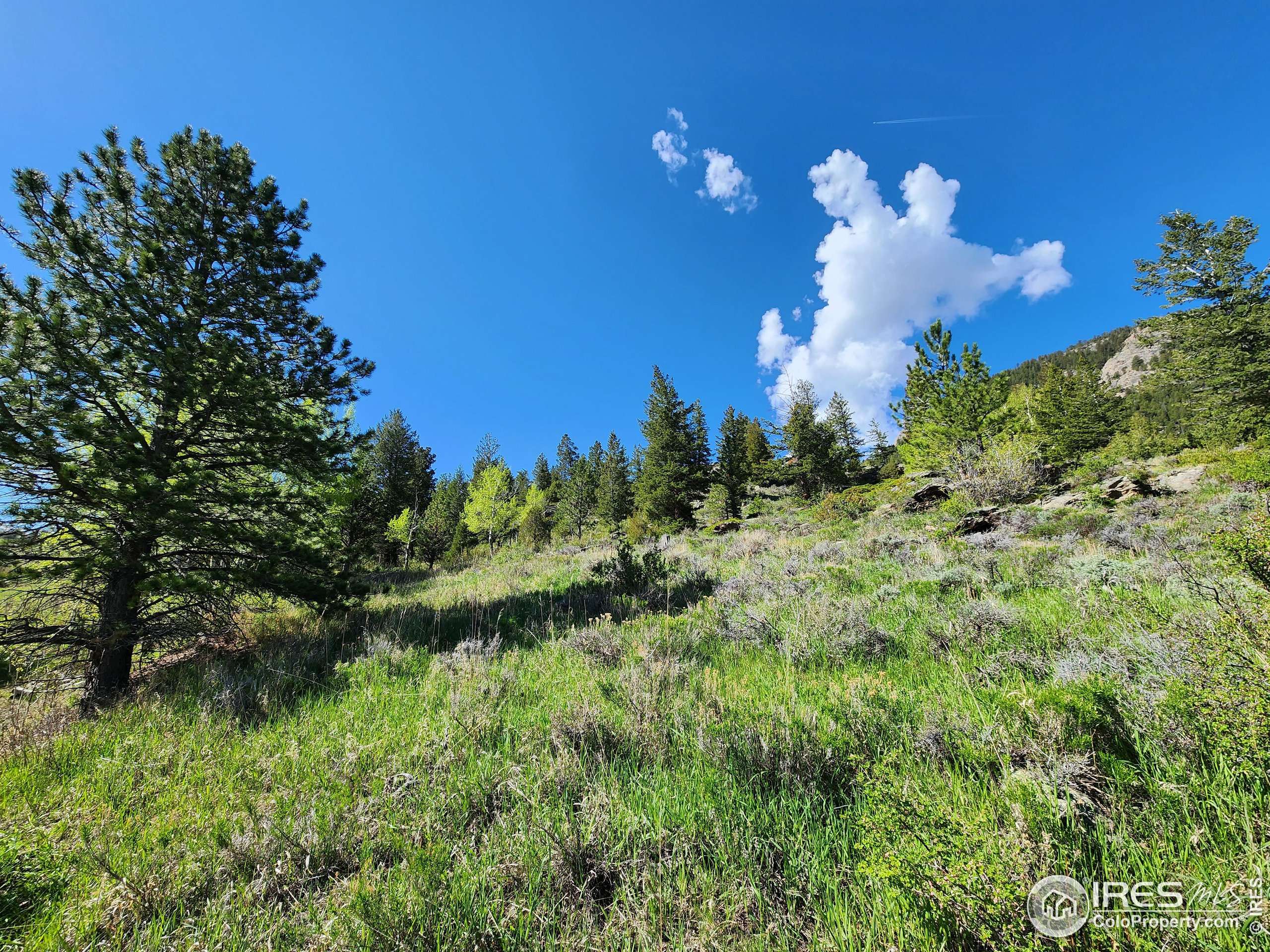 Estes Park, CO 80517,0 marys lake Rd