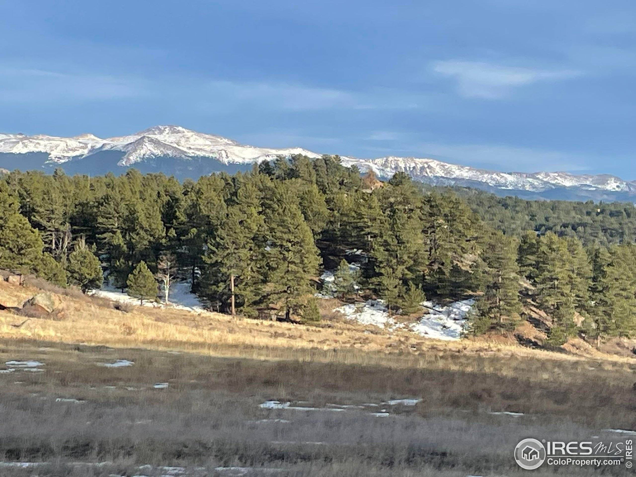 Florissant, CO 80816,1 Langnis Rd