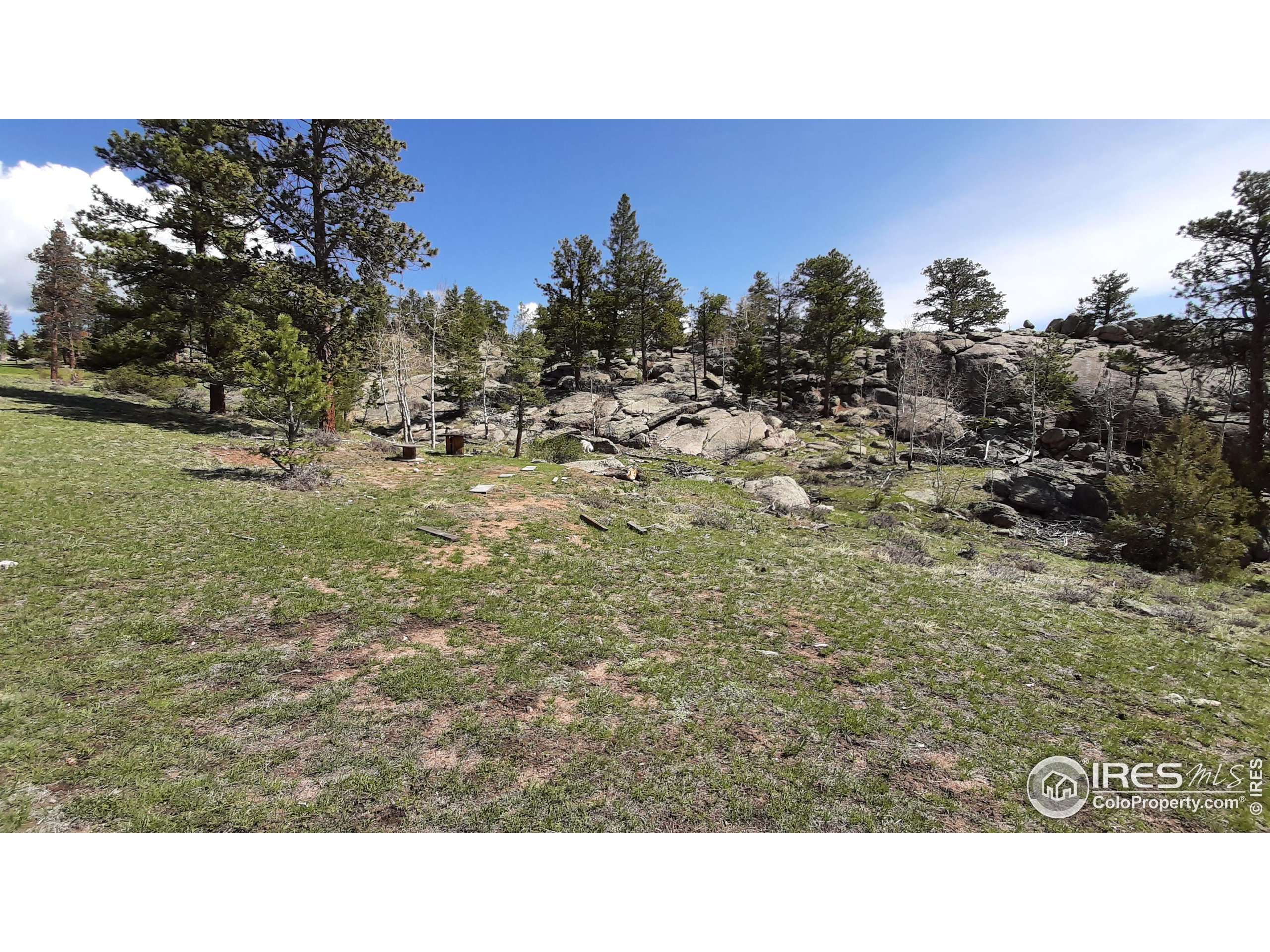 Livermore, CO 80536,102 Mount Princeton Ct