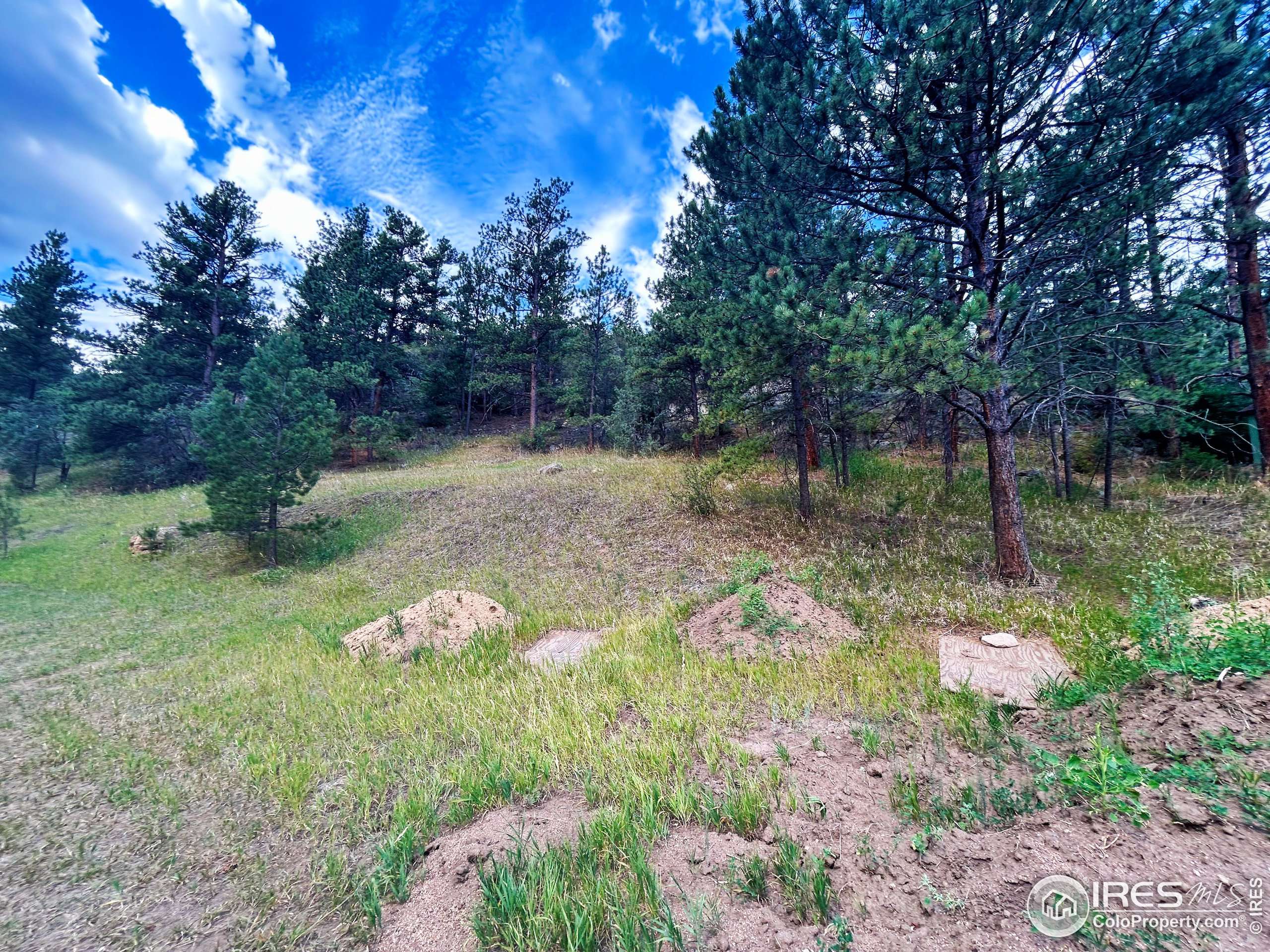 Glen Haven, CO 80532,211 Streamside Dr