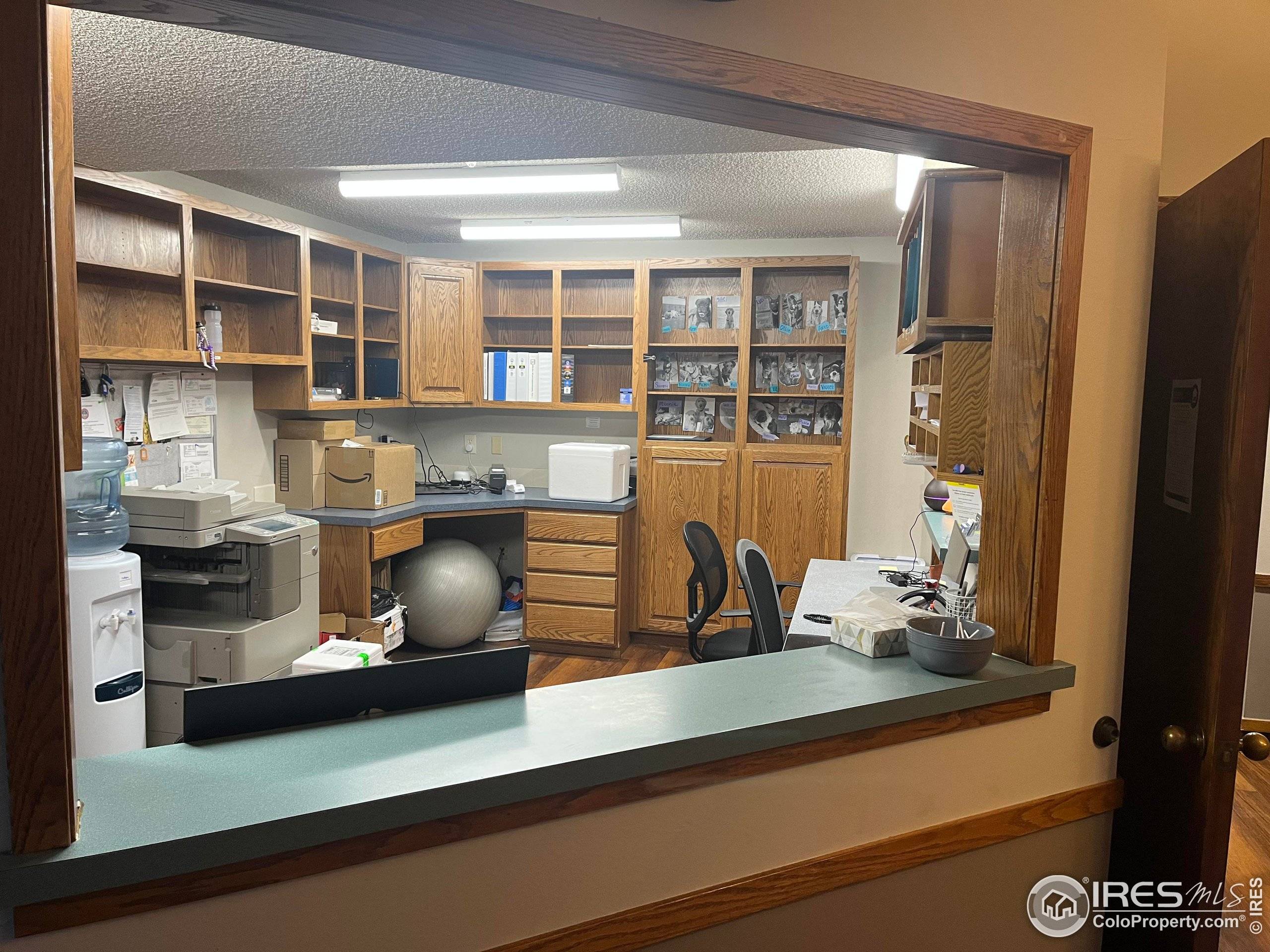 Fort Collins, CO 80524,1120 E Elizabeth St E #2
